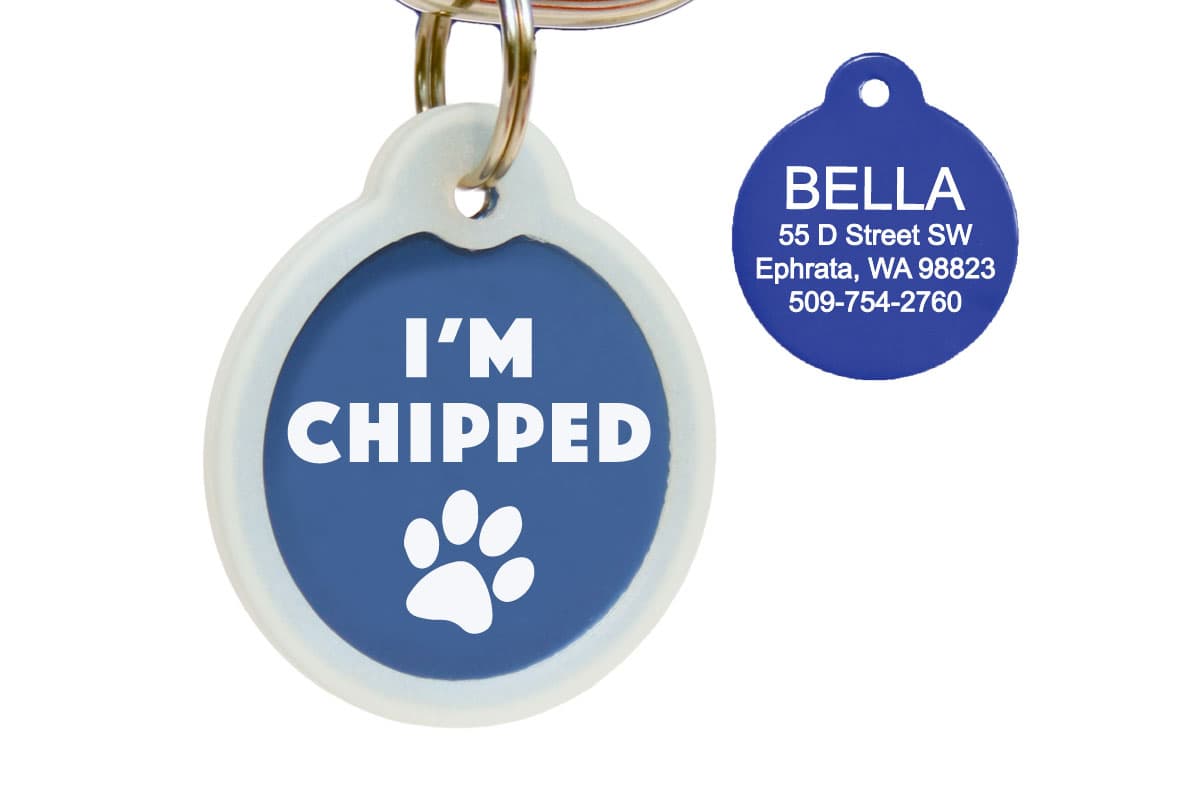 gotags-i-m-chipped-pet-id-tag-with-silencer-aluminum-custom-engraved image 1