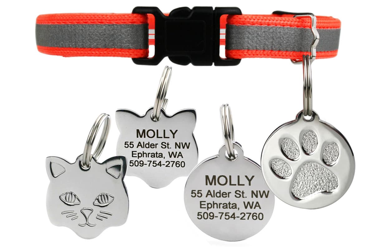 gotags-reflective-cat-collar-with-stainless-steel-id-tag-breakaway-buckle image 3