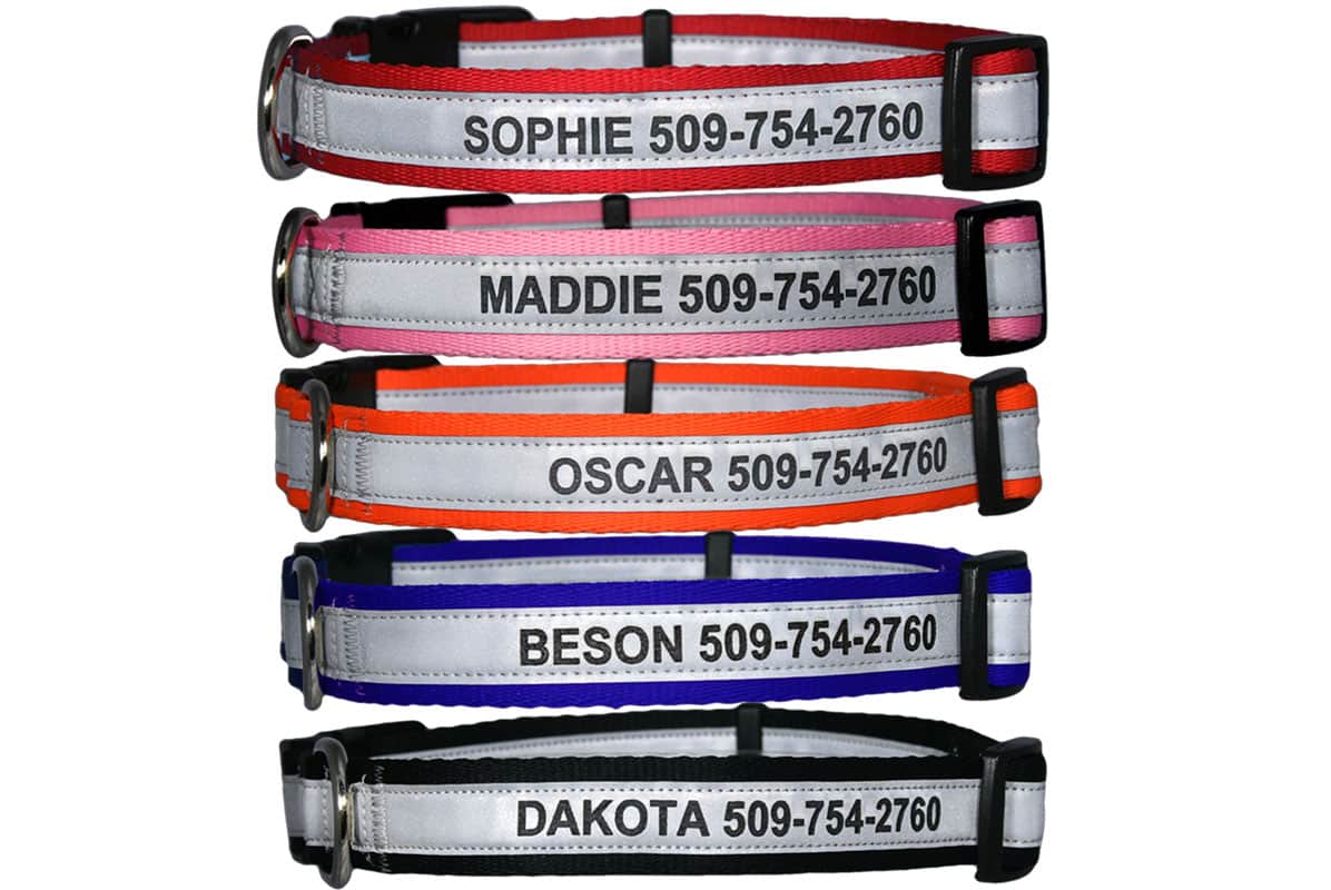 gotags-personalized-engraved-reflective-dog-collar-with-quick-release-buckle-adj image 1