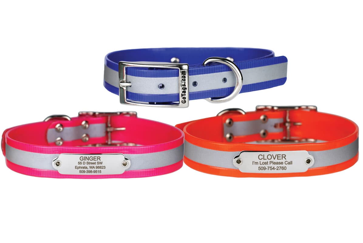 gotags-reflective-waterproof-dog-collar-with-riveted-nameplate-biothane-webbing- image 2