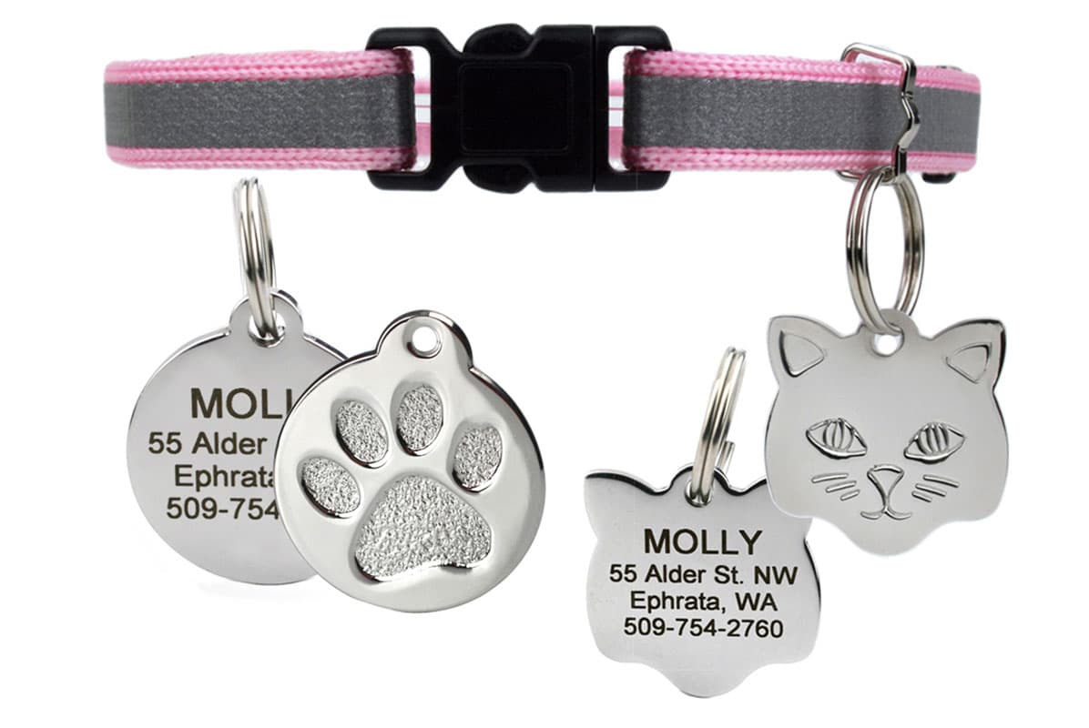 gotags-reflective-cat-collar-with-stainless-steel-id-tag-breakaway-buckle image 2