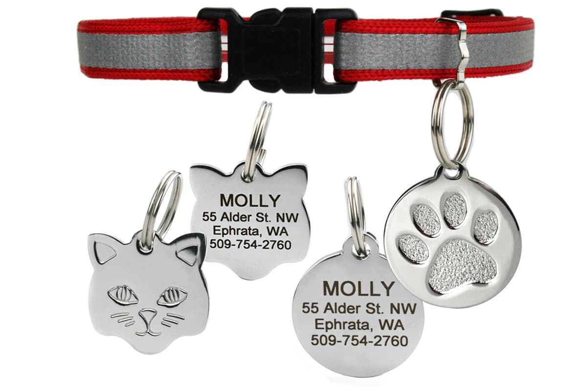 gotags-reflective-cat-collar-with-stainless-steel-id-tag-breakaway-buckle image 1