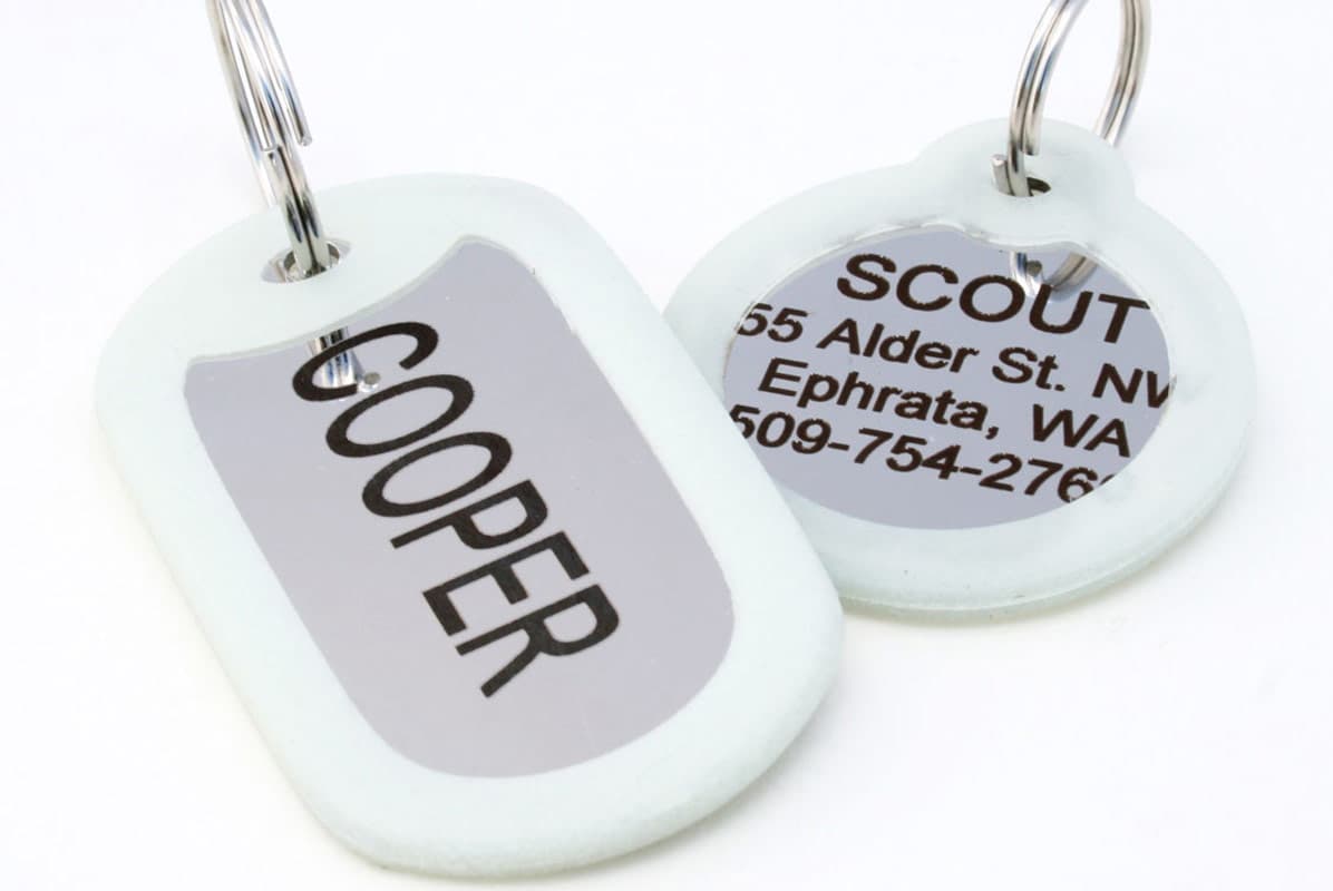 gotags-stainless-steel-pet-id-tags-with-glow-in-the-dark-tag-silencer-engraved-4 image 3