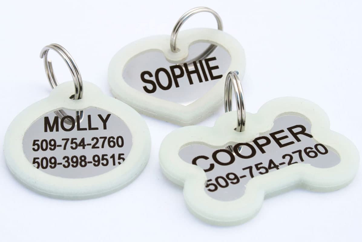 gotags-stainless-steel-pet-id-tags-with-glow-in-the-dark-tag-silencer-engraved-4 image 2