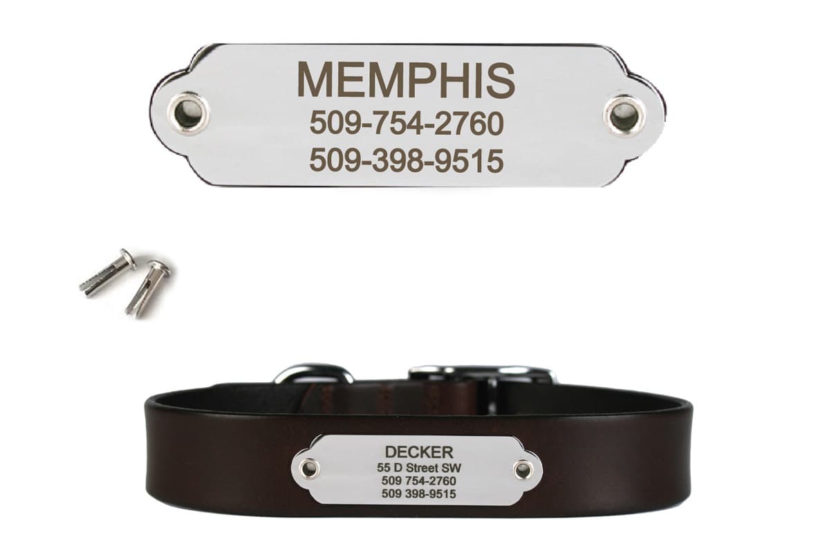 gotags-rivet-on-dog-collar-nameplate-stainless-steel-custom-engraved-id image 2