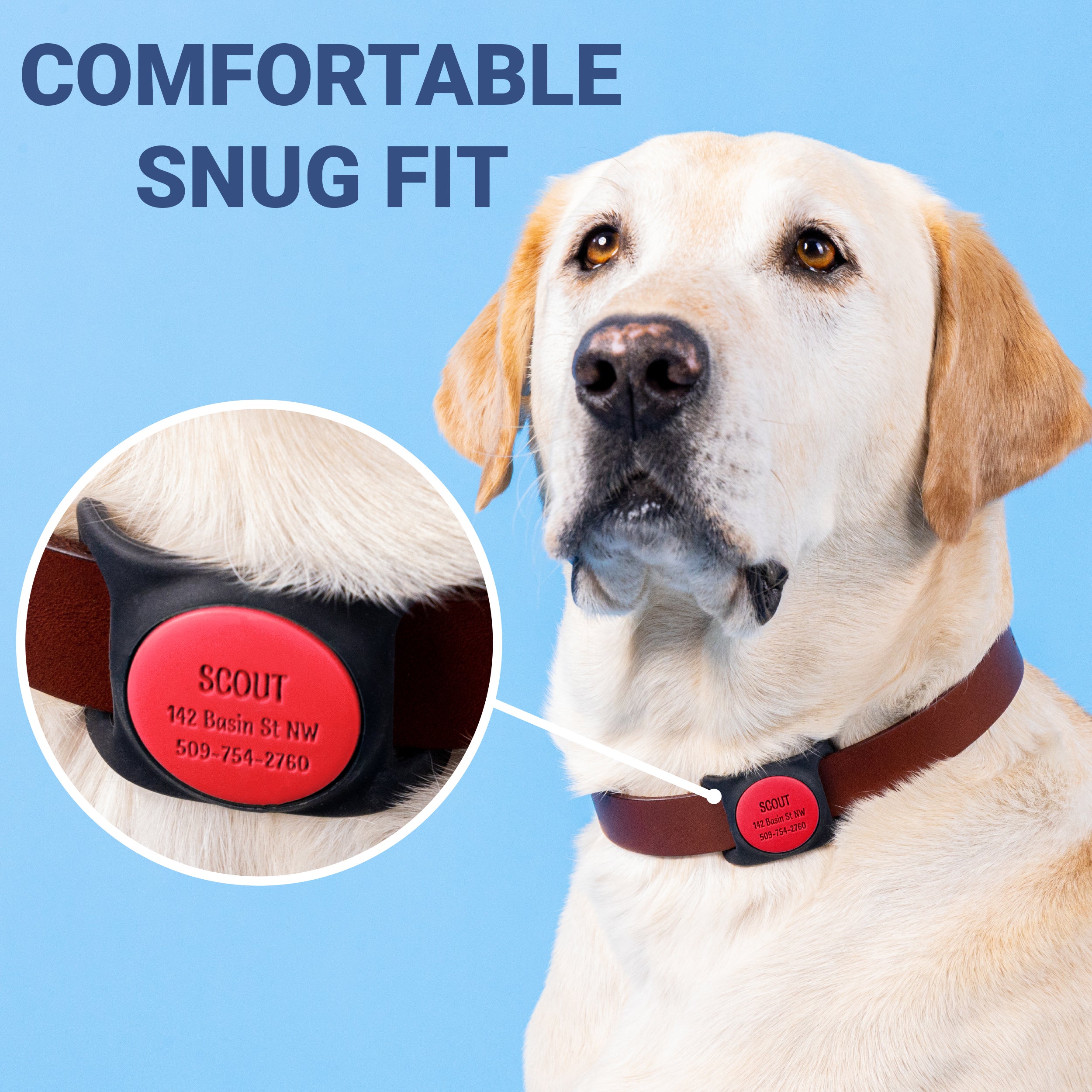 gotags-airtag-pet-collar-holder-personalized image 7