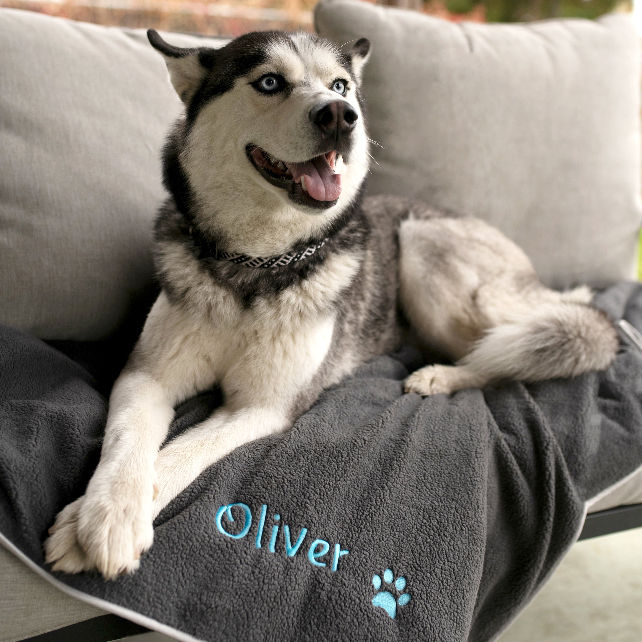 gotags-personalized-fleece-dog-blanket-custom-embroidered-with-pet-s-name image 8