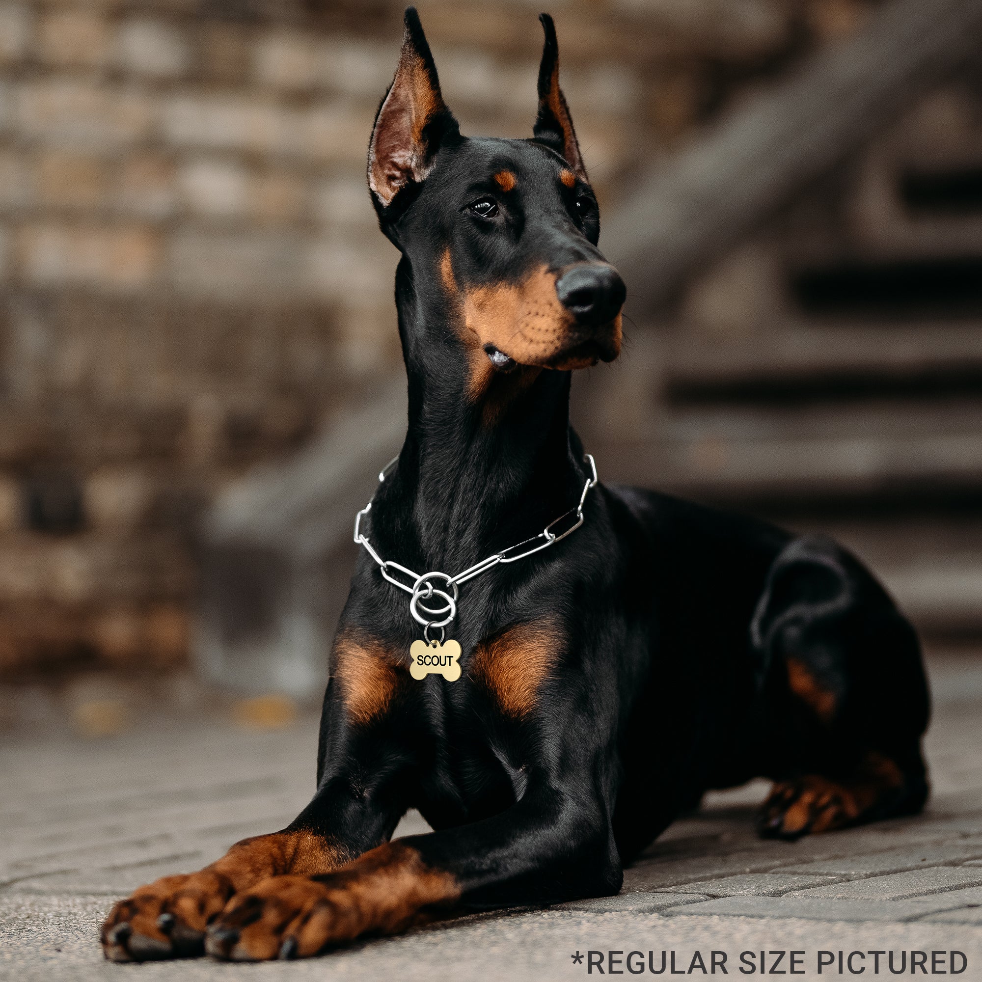 gotags-ranger-badge-shape-brass-dog-id-tag image 7
