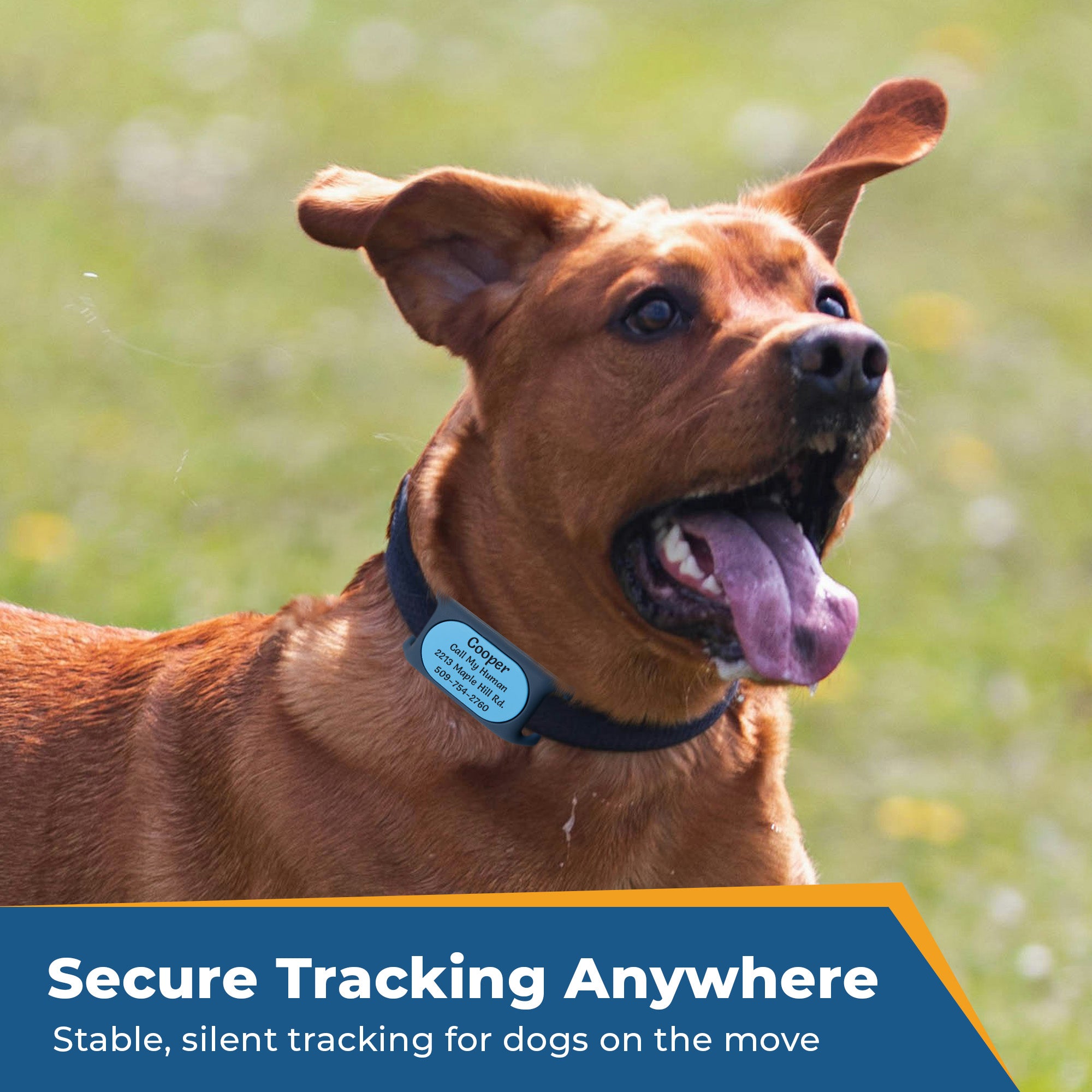 gotags-samsung-galaxy-smarttag2-gps-tracker-holder-slide-on-pet-id-tag image 7