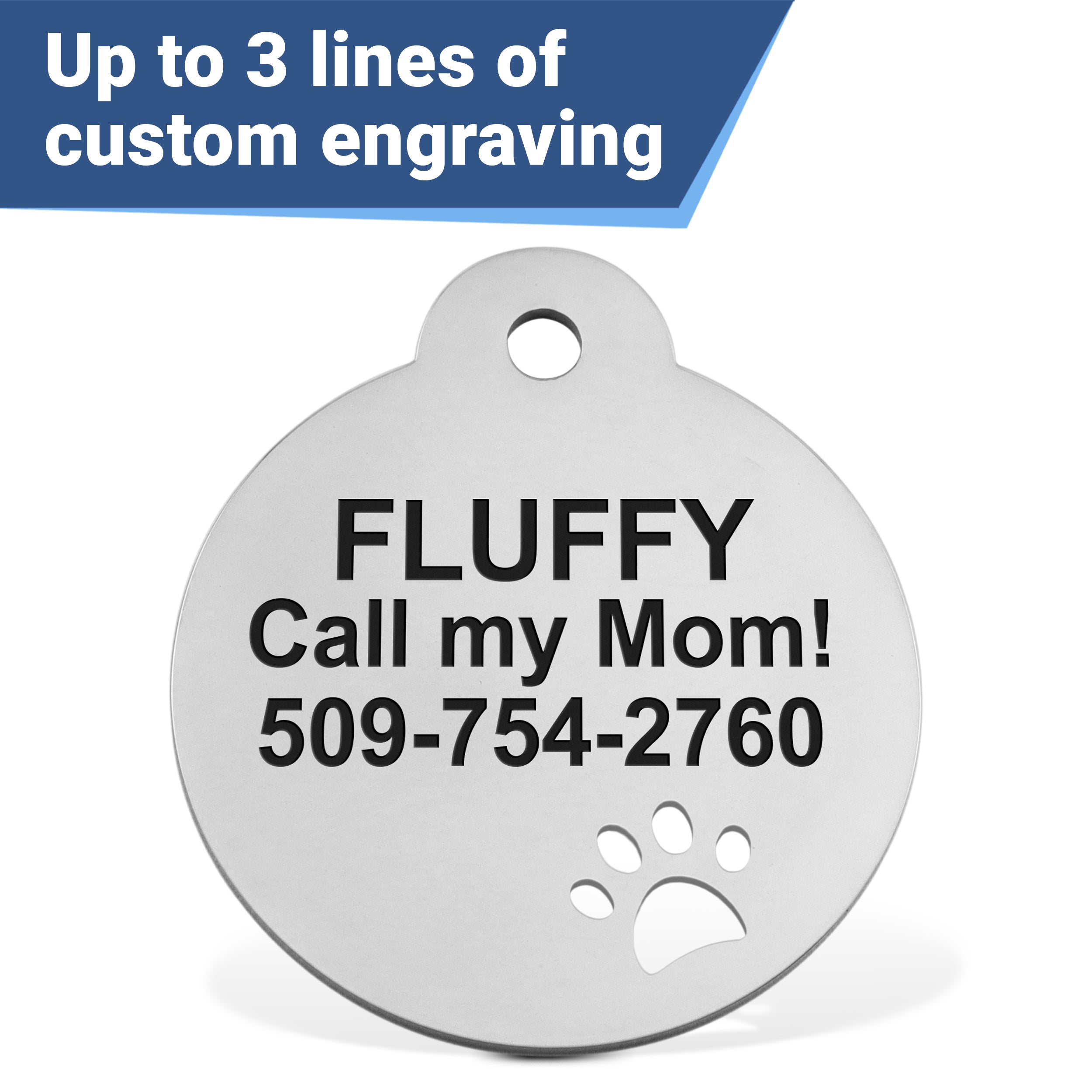 gotags-round-pet-id-tag-with-paw-cutout-personalized-stainless-steel image 6