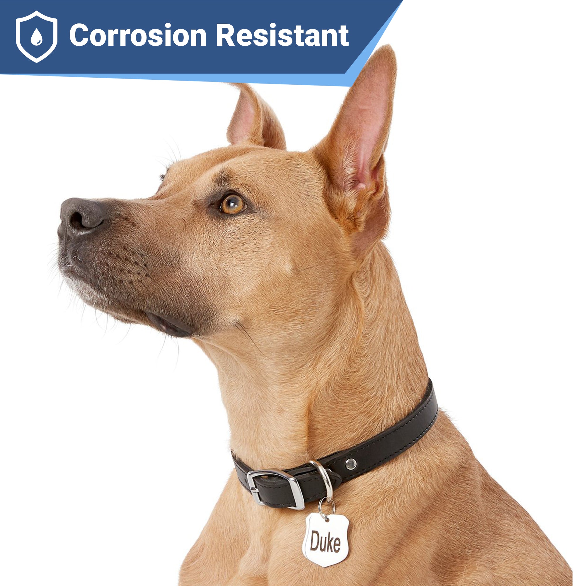 gotags-ranger-badge-pet-id-tag-stainless-steel-with-double-sided-engraving image 4