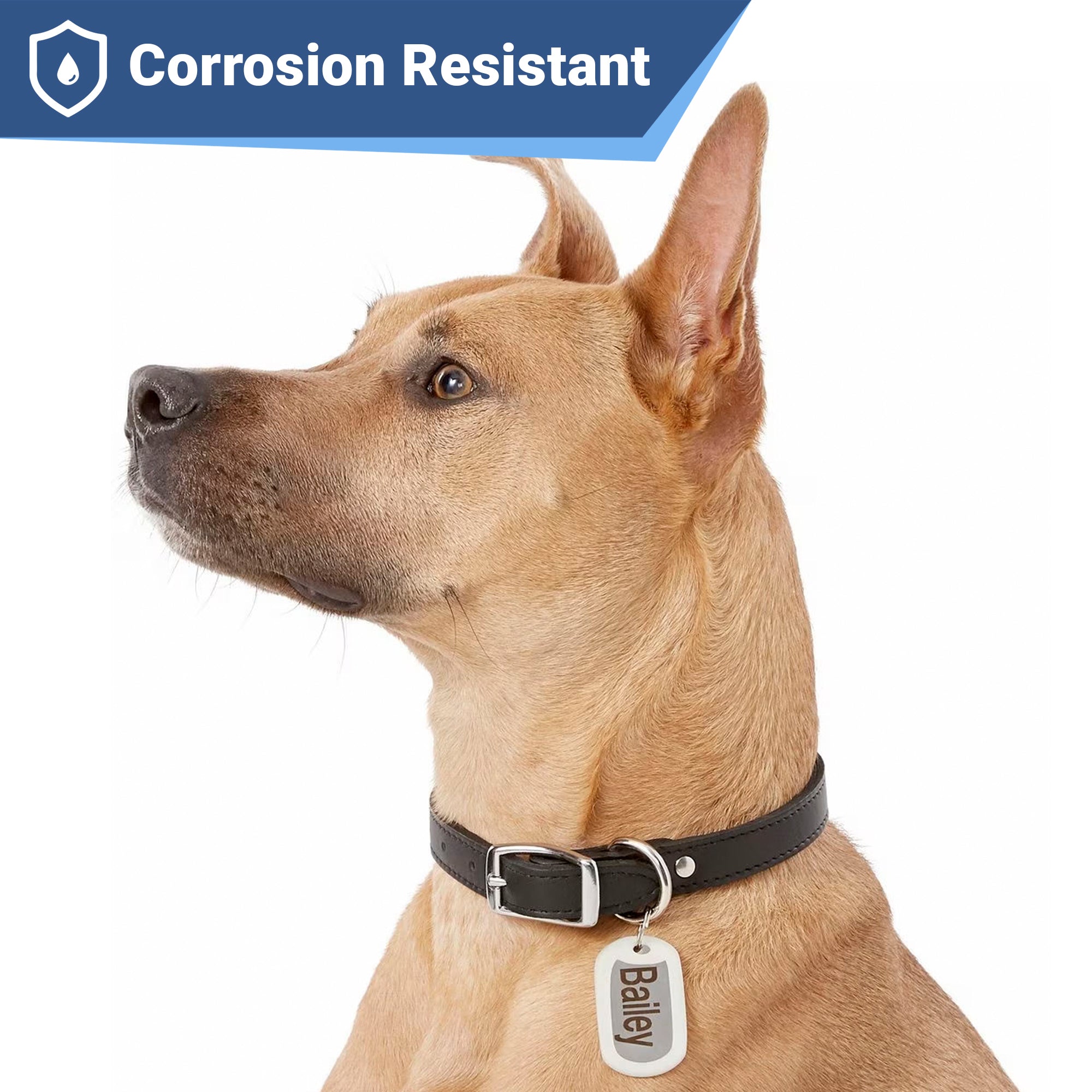 gotags-rectangle-dog-id-tag-stainless-steel-military-style-double-sided-engravin image 2