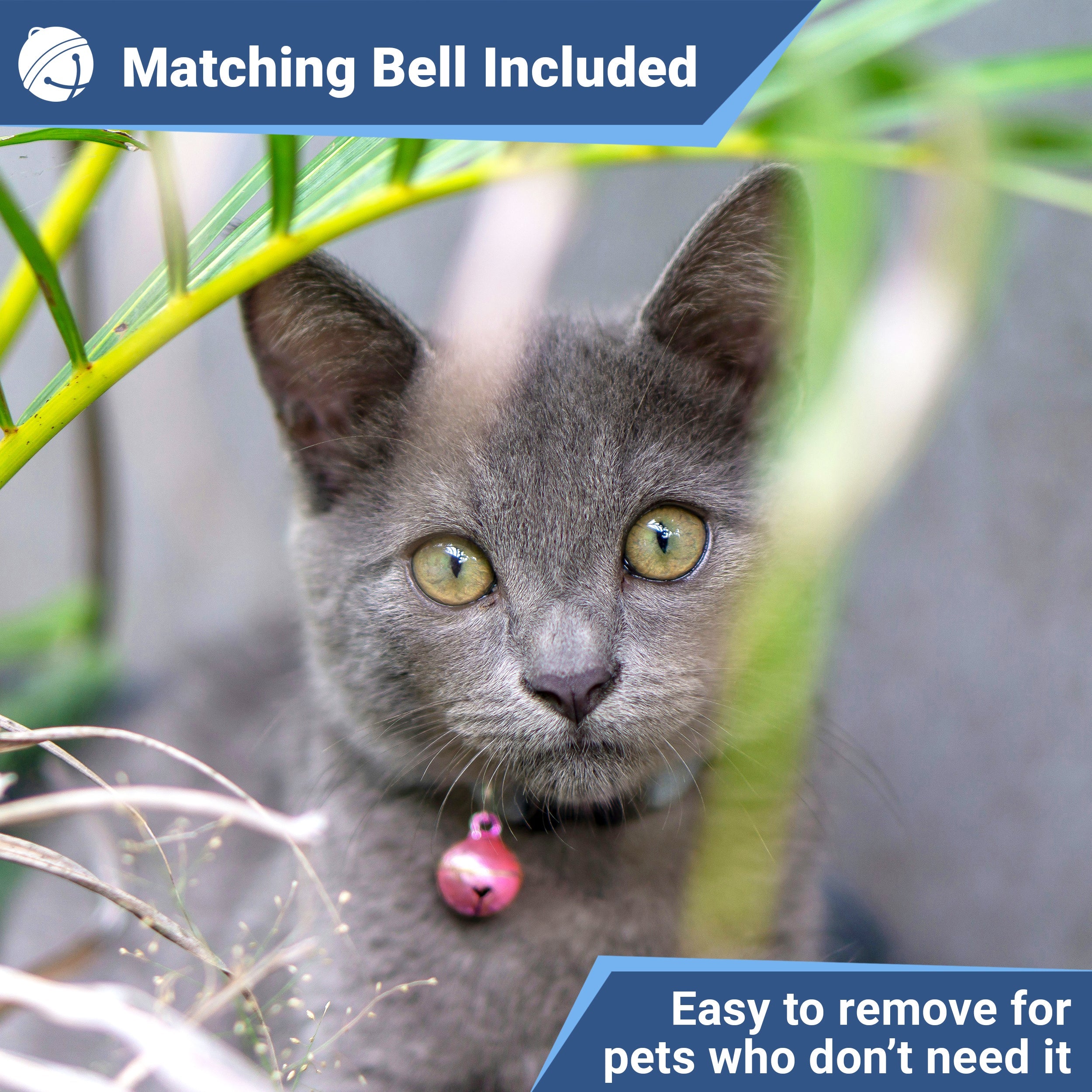 gotags-breakaway-cat-collar-with-slide-on-silent-id-tag-safety-buckle-removable- image 3