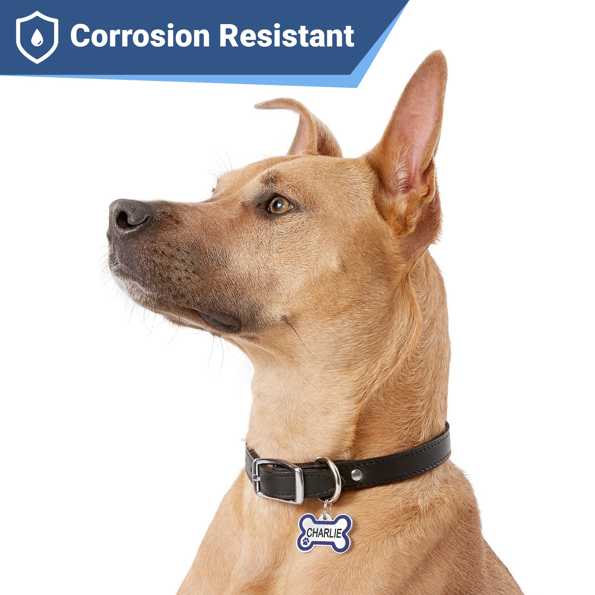 gotags-bone-dog-id-tag-with-enamel-paw-print-personalized-double-sided-engraving image 5