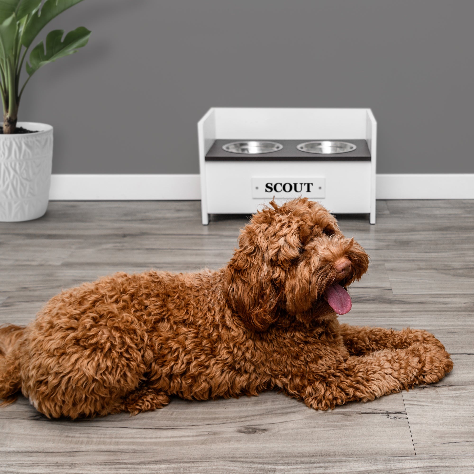 gotags-personalized-adjustable-elevated-dog-bowl-feeder-stand-3-height-levels-cu image 6
