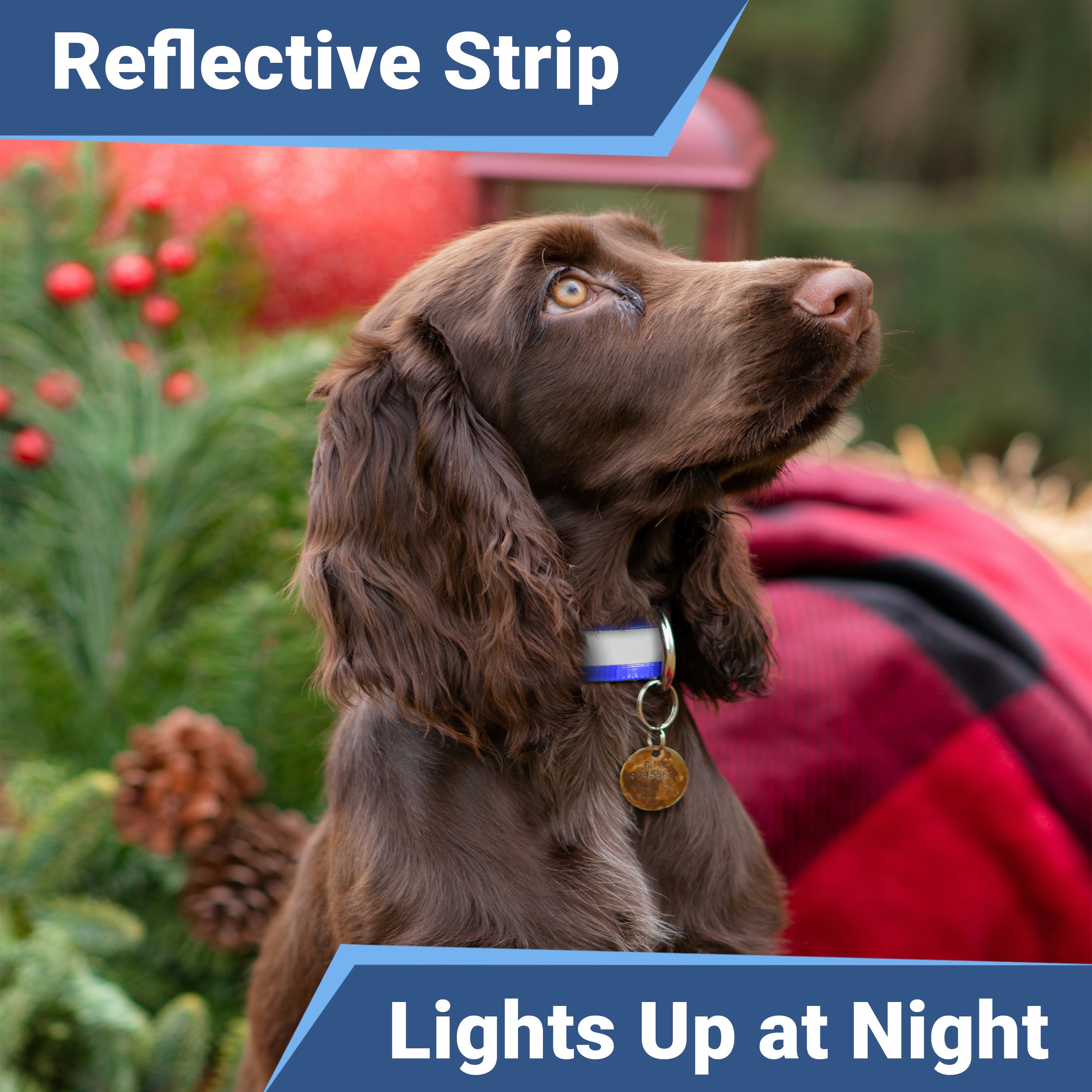 gotags-personalized-reflective-waterproof-dog-collar image 3
