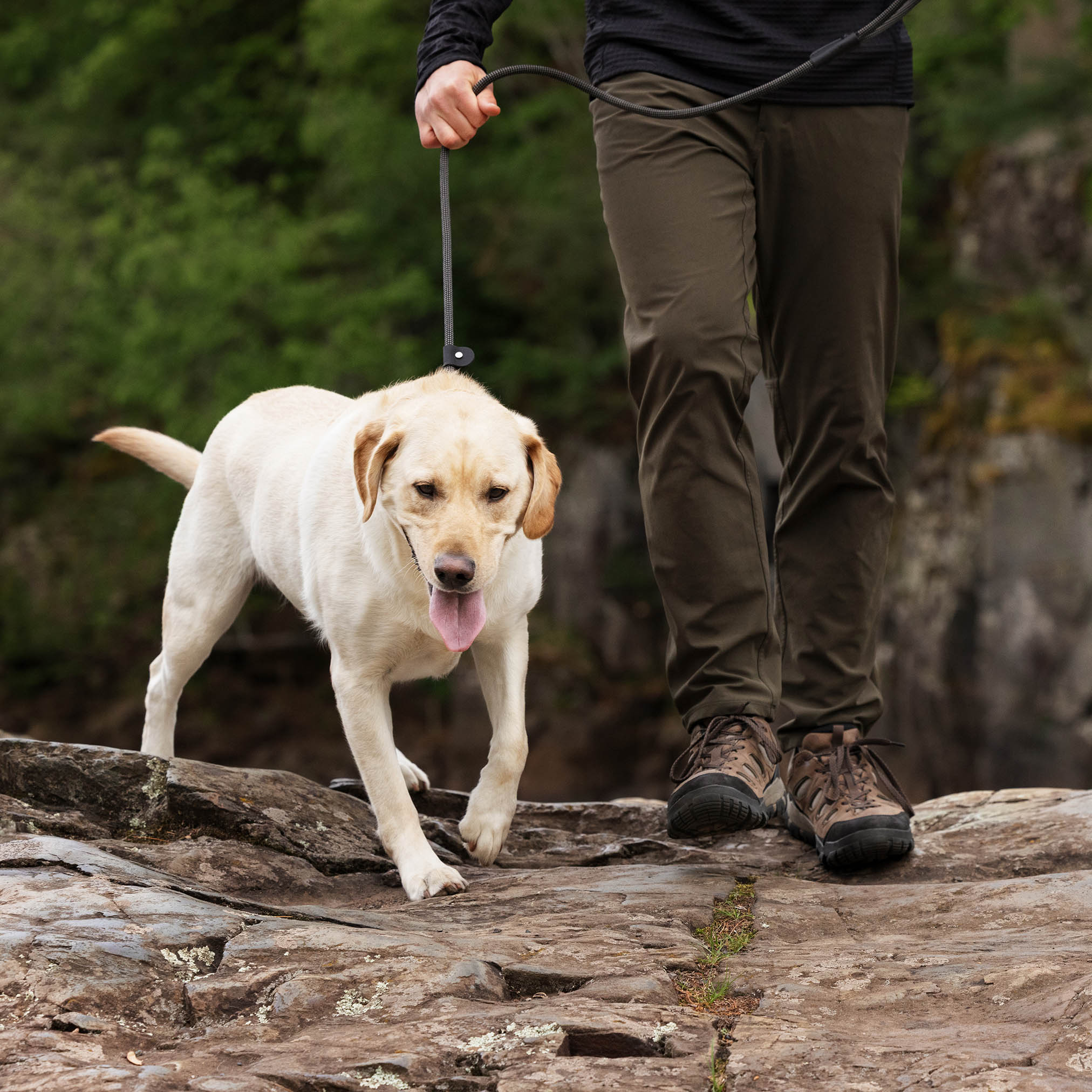 mendota-pet-elite-series-slip-leash-inspired-by-rugged-climbing-rope image 2