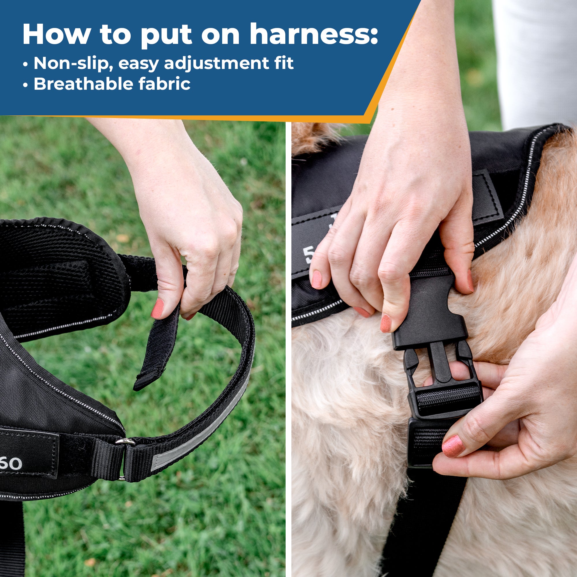 gotags-personalized-reflective-dog-harness-with-custom-embroidery image 6