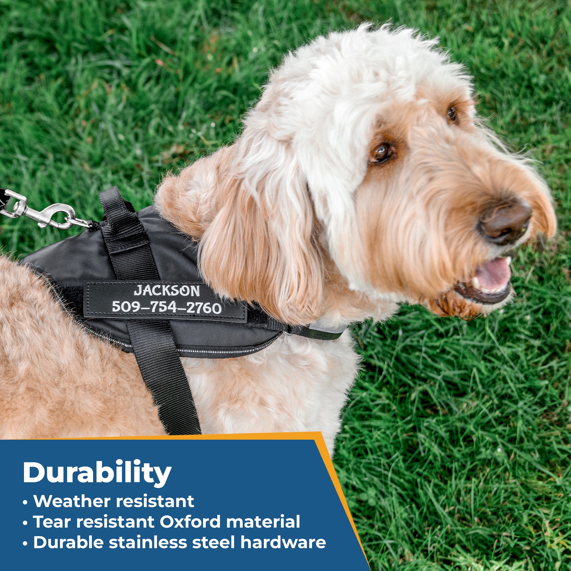 gotags-personalized-reflective-dog-harness-with-custom-embroidery image 5