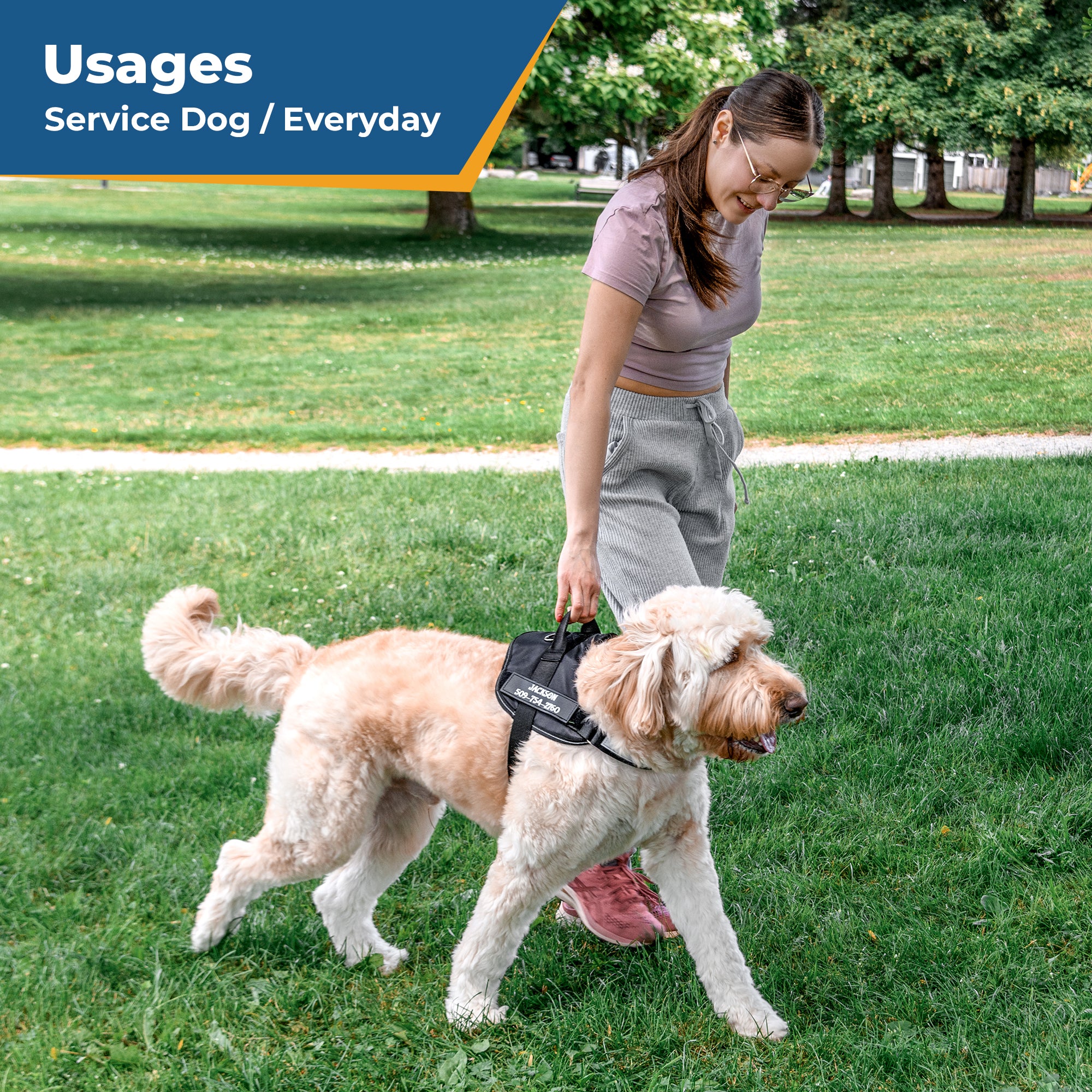 gotags-personalized-reflective-dog-harness-with-custom-embroidery image 3