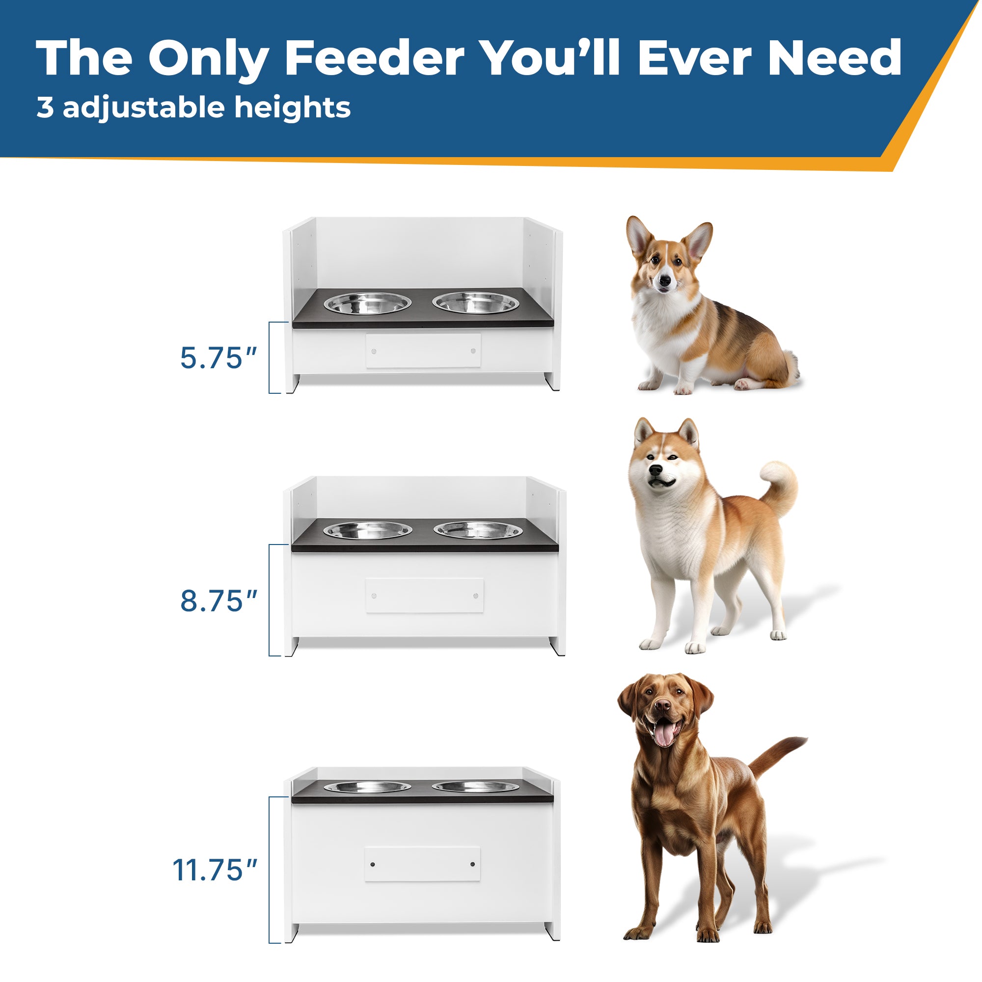 gotags-personalized-adjustable-elevated-dog-bowl-feeder-stand-3-height-levels-cu image 2