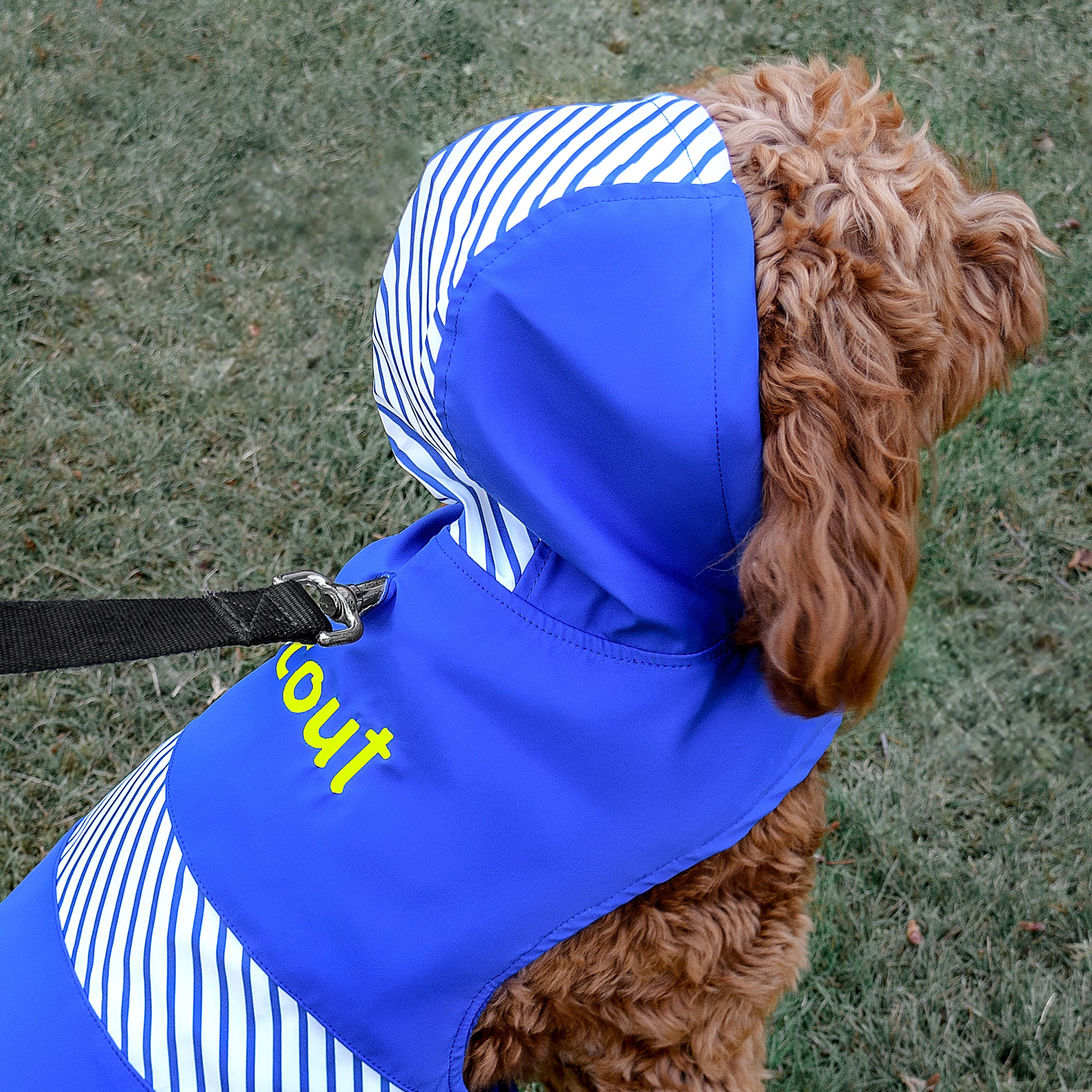 gotags-personalized-dog-raincoat-with-hood image 4