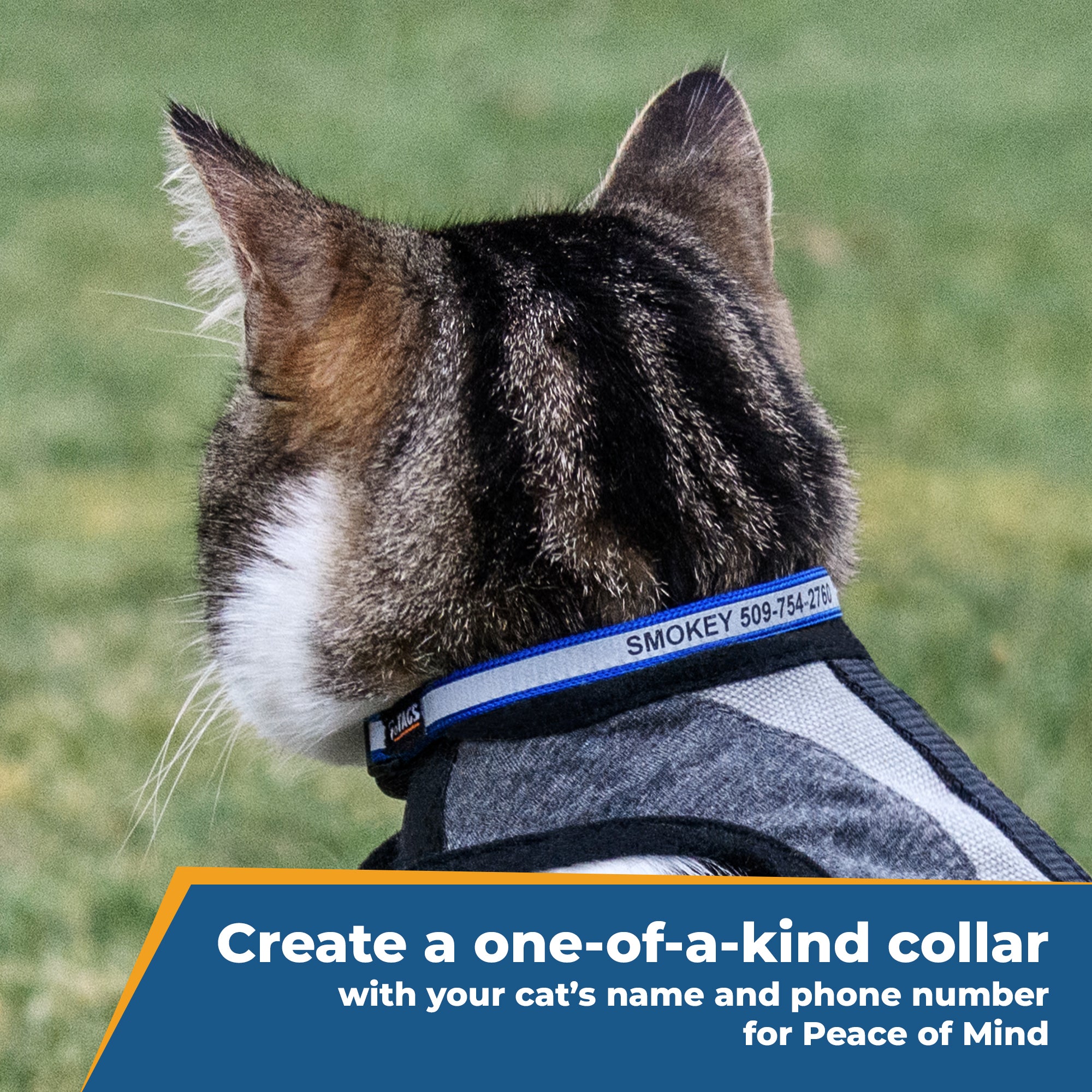gotags-personalized-engraved-reflective-cat-collar-with-breakaway-buckle image 2