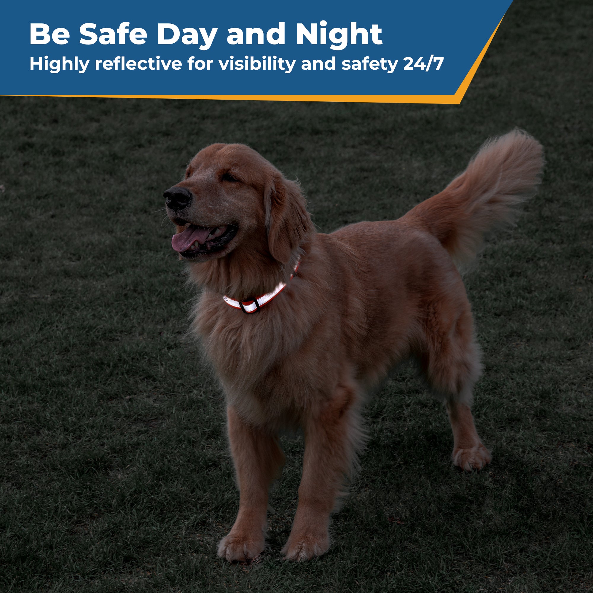 gotags-personalized-reflective-dog-collar-with-quick-release-buckle-embroidered image 4