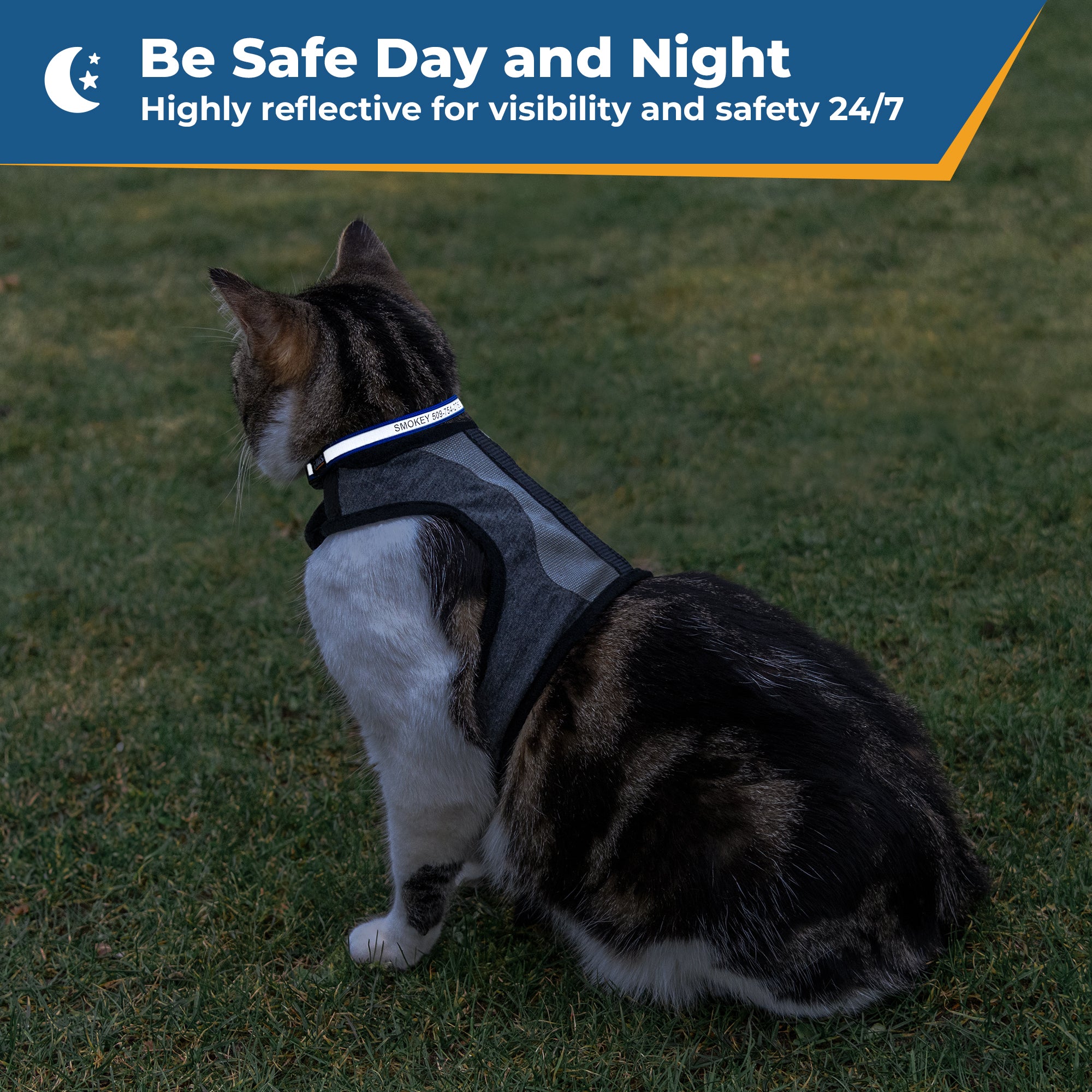gotags-personalized-engraved-reflective-cat-collar-with-breakaway-buckle image 4