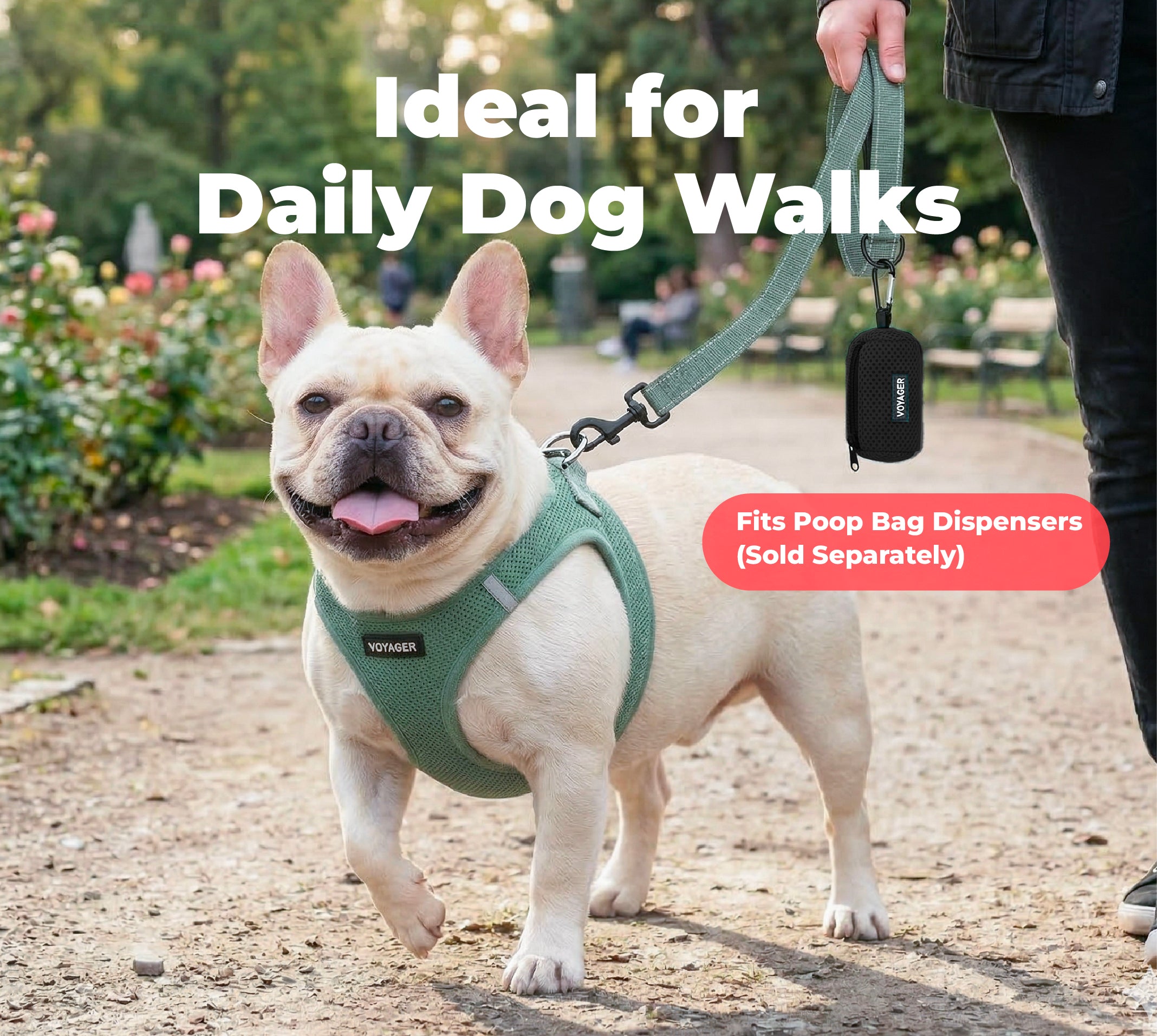 voyager-reflective-dog-leash-for-safer-night-walks image 3