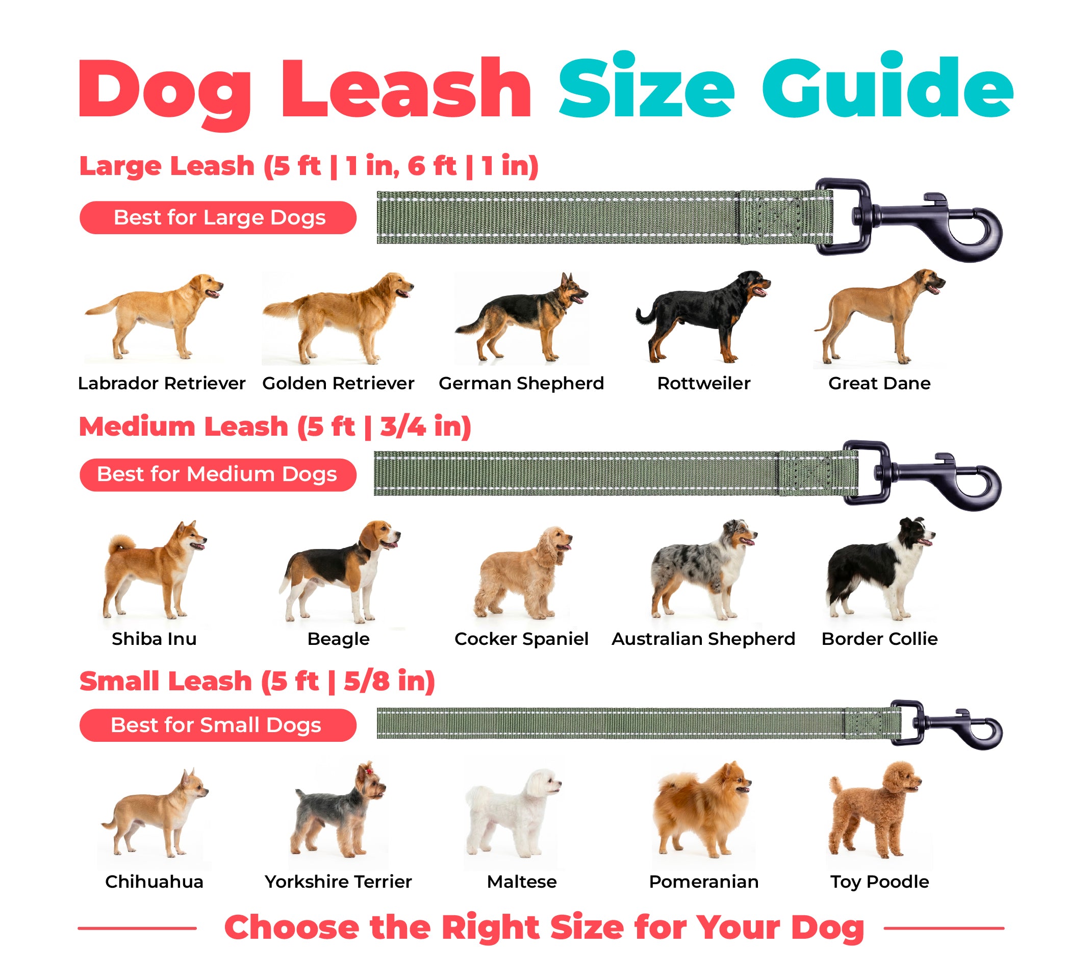 voyager-reflective-dog-leash-for-safer-night-walks image 7