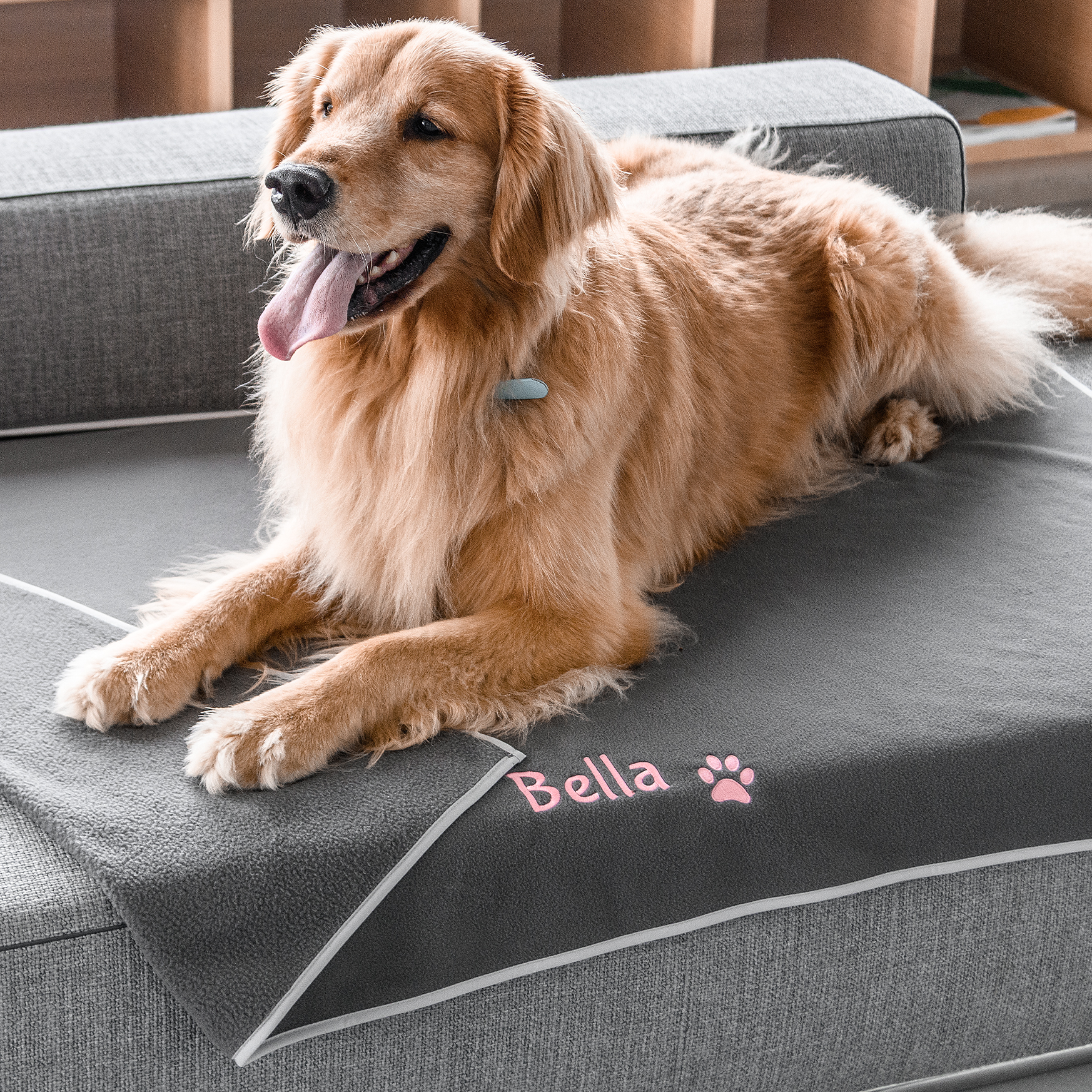 gotags-personalized-fleece-dog-blanket-custom-embroidered-with-pet-s-name image 1