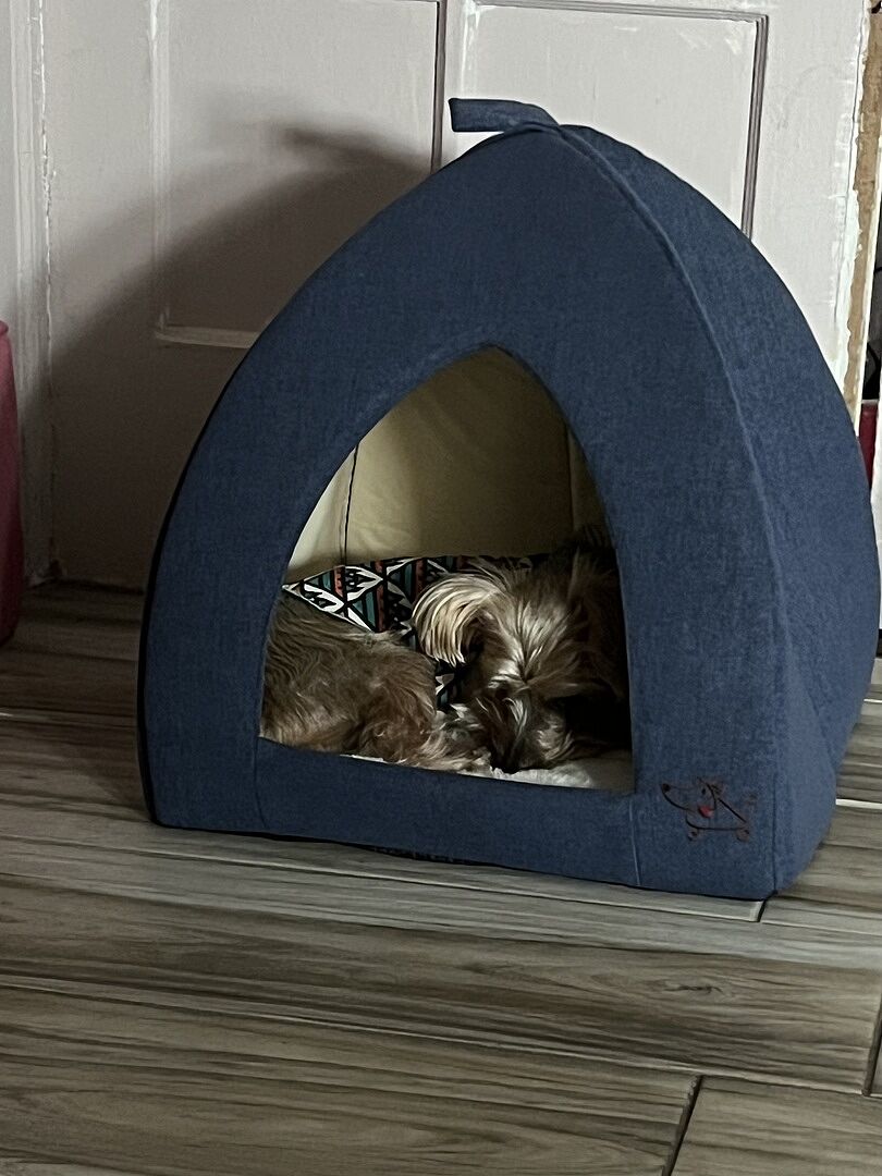 Perfect hideaway