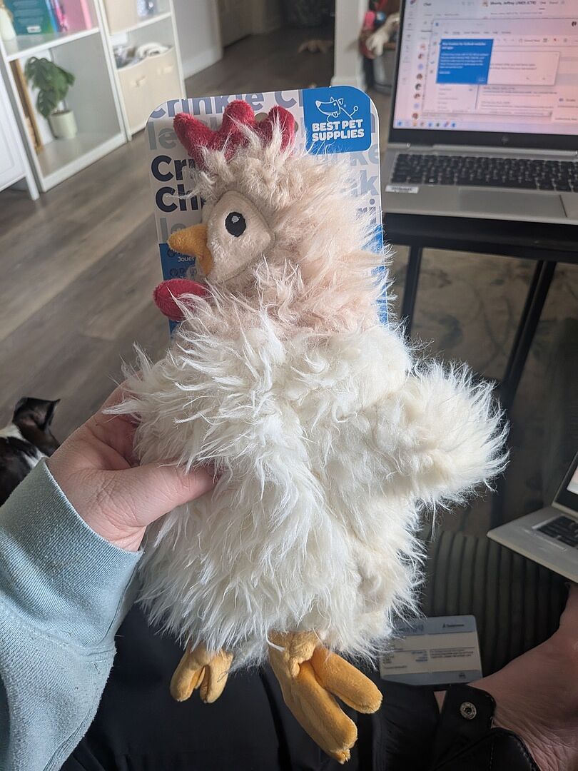 My dog's favorite toy!