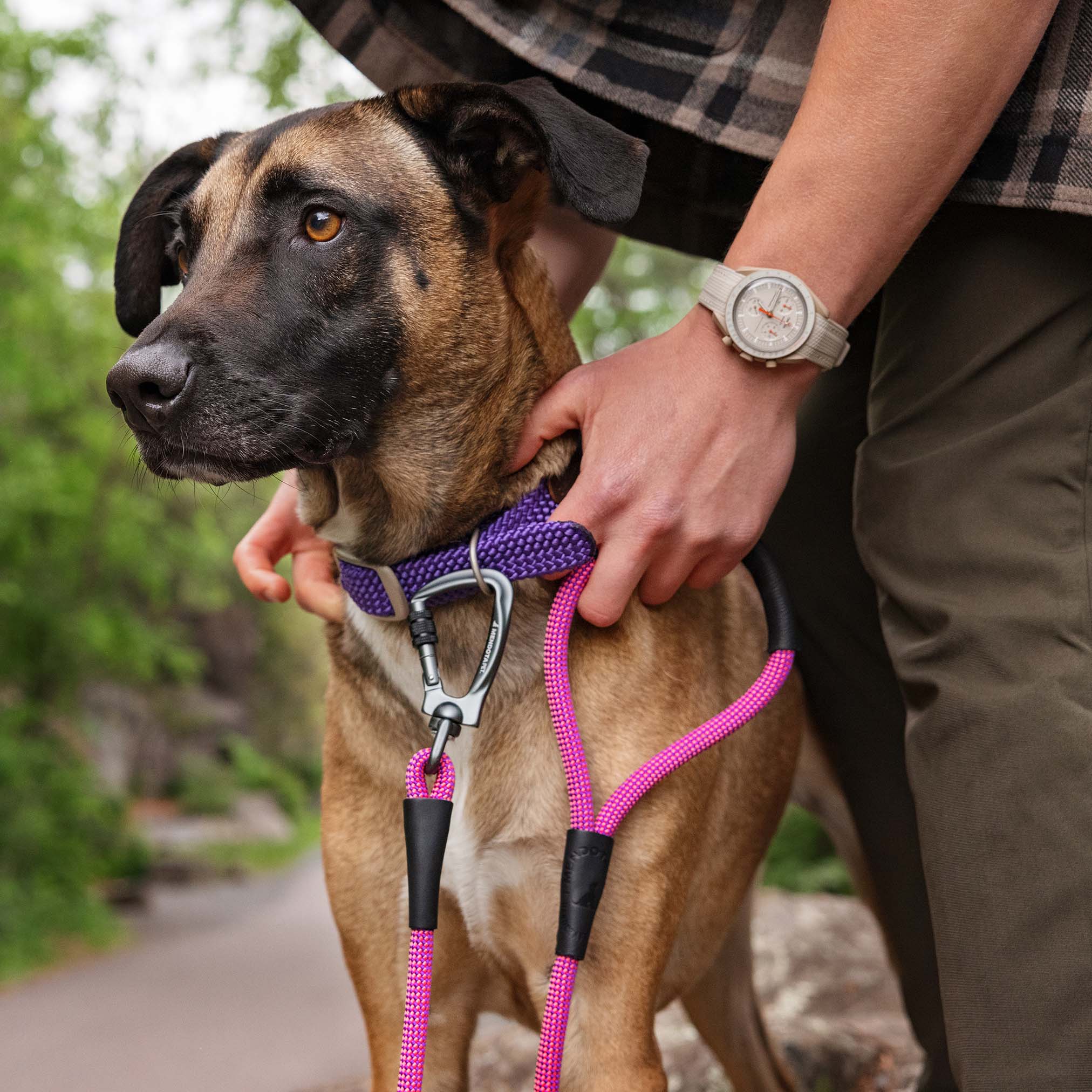 mendota-pet-elite-series-climbing-rope-dog-leash-5ft-10-5mm-with-custom-options image 2
