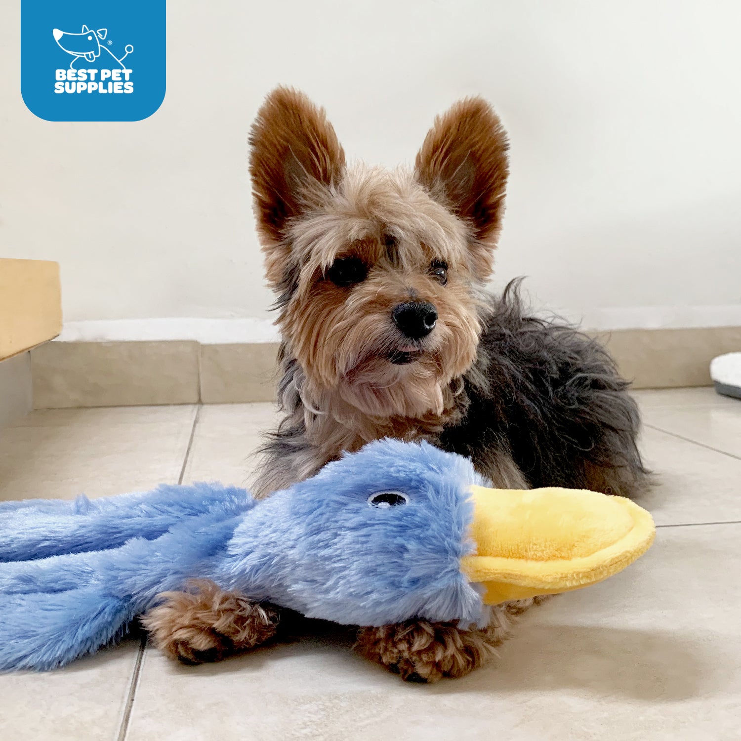 voyager-crinkle-duck-stuffless-dog-toy image 4