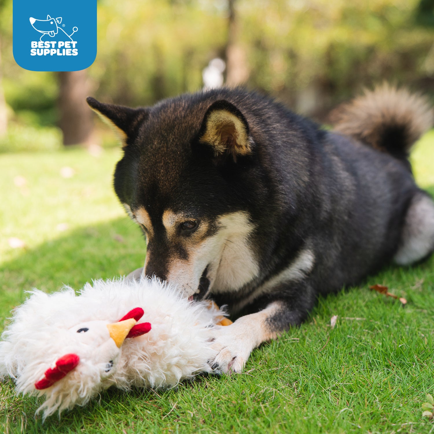 voyager-crinkle-chicken-stuffless-dog-toy image 4