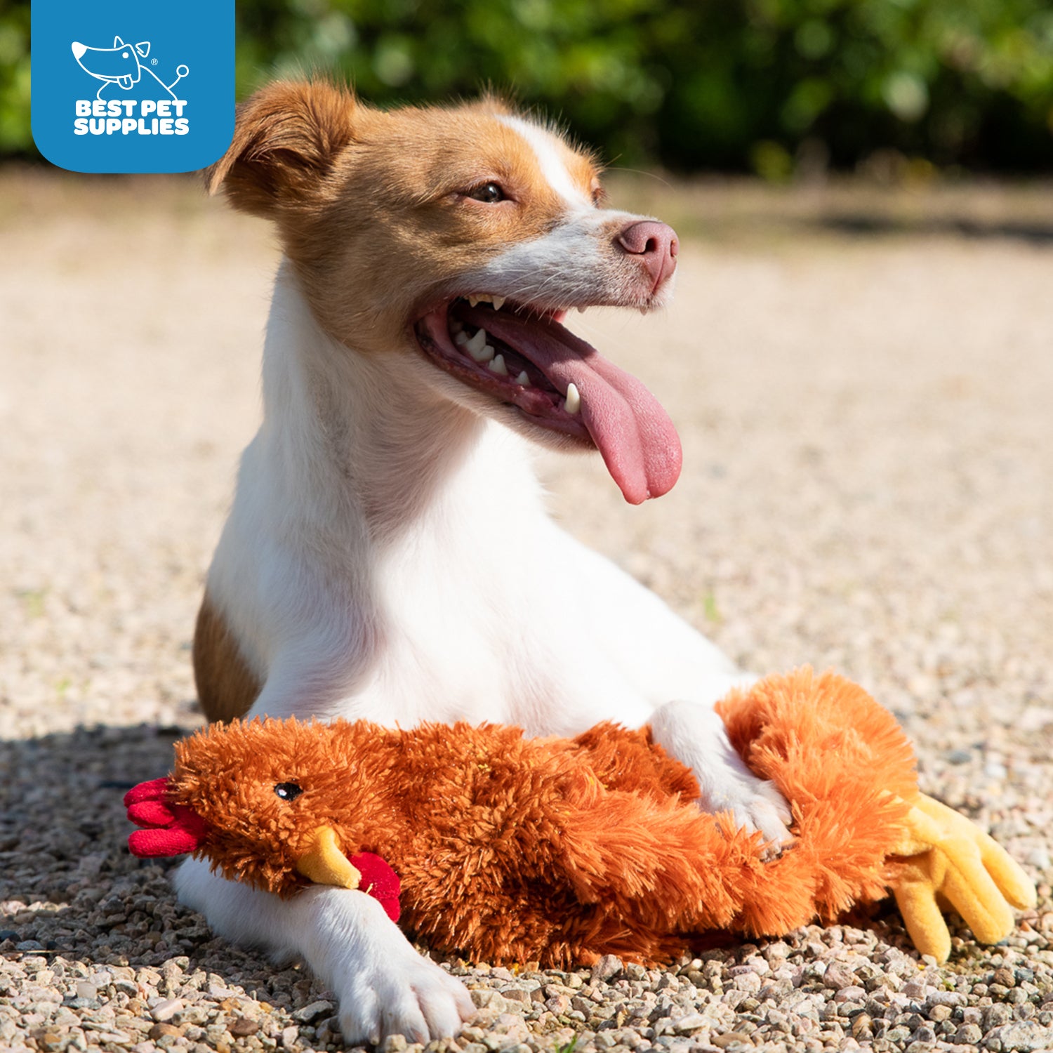 voyager-crinkle-chicken-stuffless-dog-toy image 8