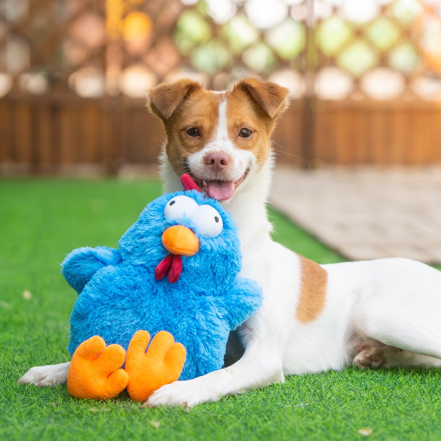 voyager-mrs-cluck-squeaky-plush-dog-toy-soft-chicken-plush-with-squeaker image 7
