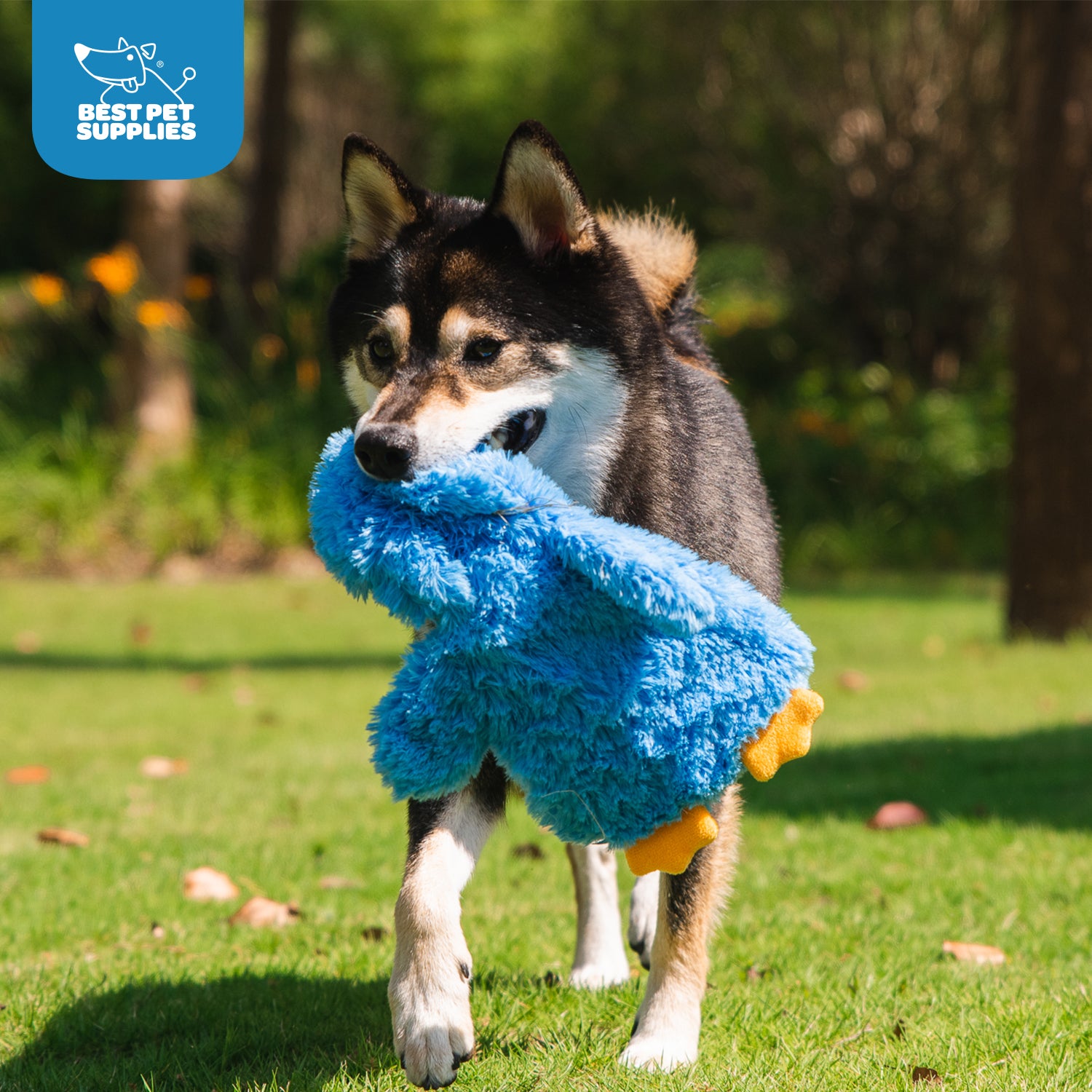 voyager-crinkle-baby-chicken-stuffless-dog-toy-set image 5