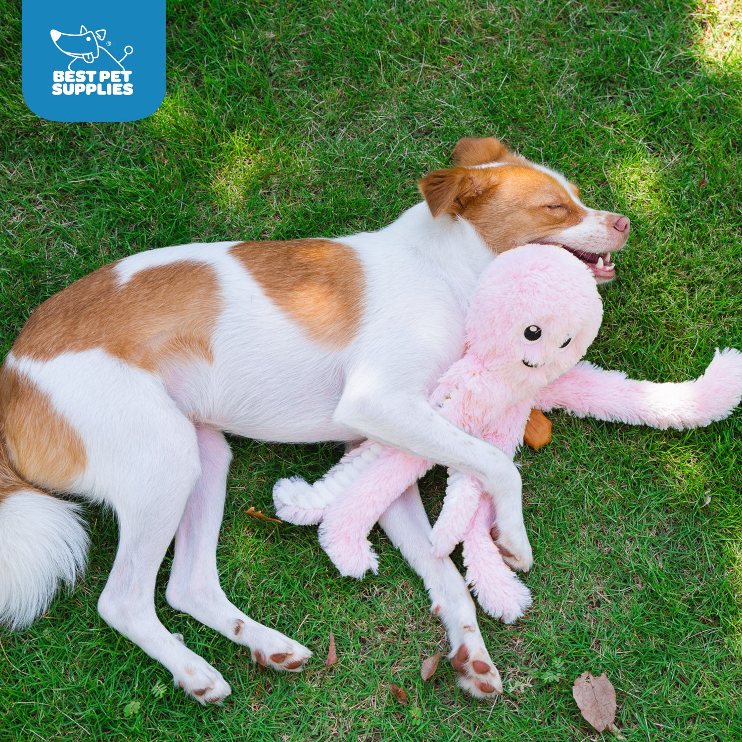 voyager-octomutant-squeaky-plush-dog-toy-set-3-pack-no-stuffing-crinkle-and-sque image 5