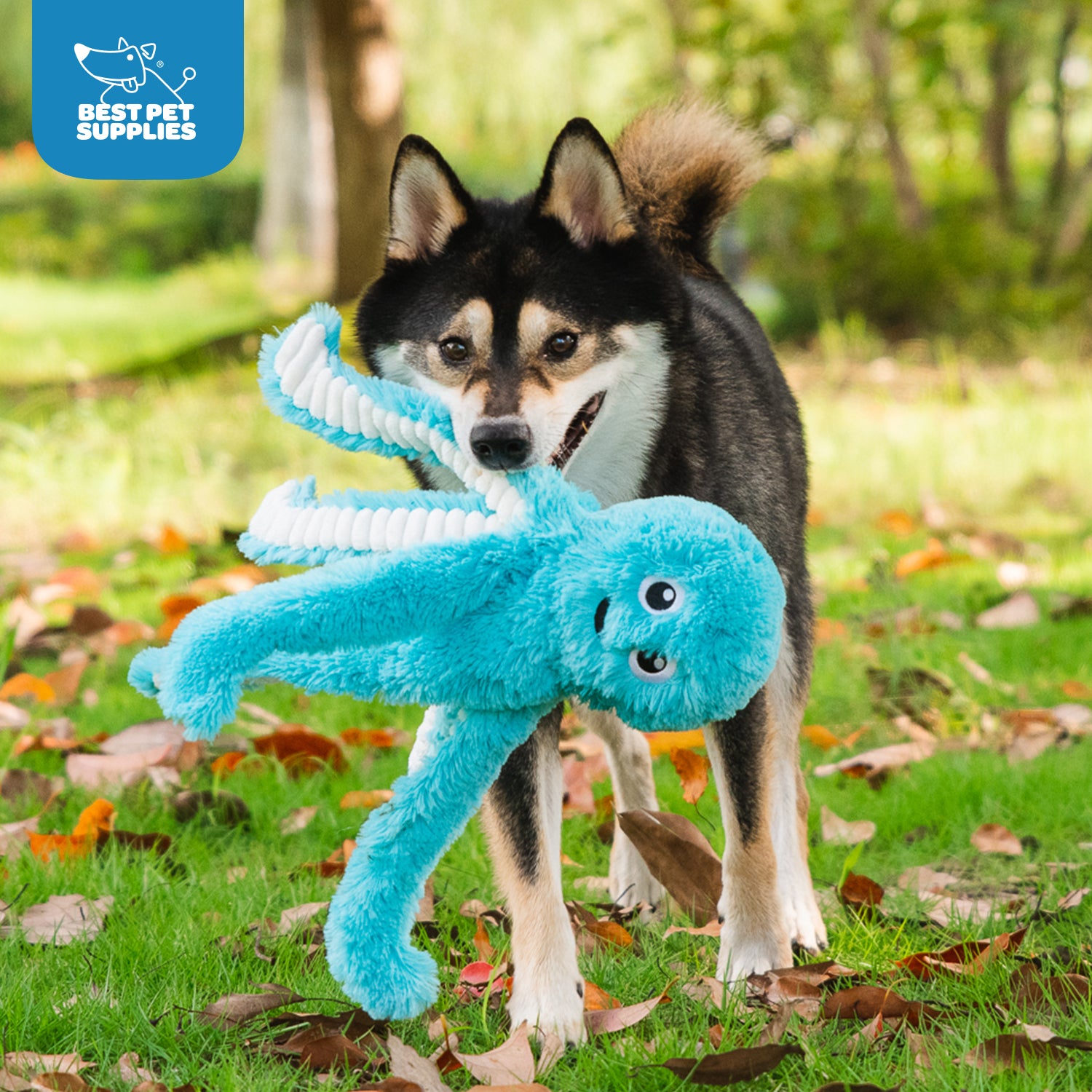 voyager-octomutant-squeaky-plush-dog-toy-set-3-pack-no-stuffing-crinkle-and-sque image 6