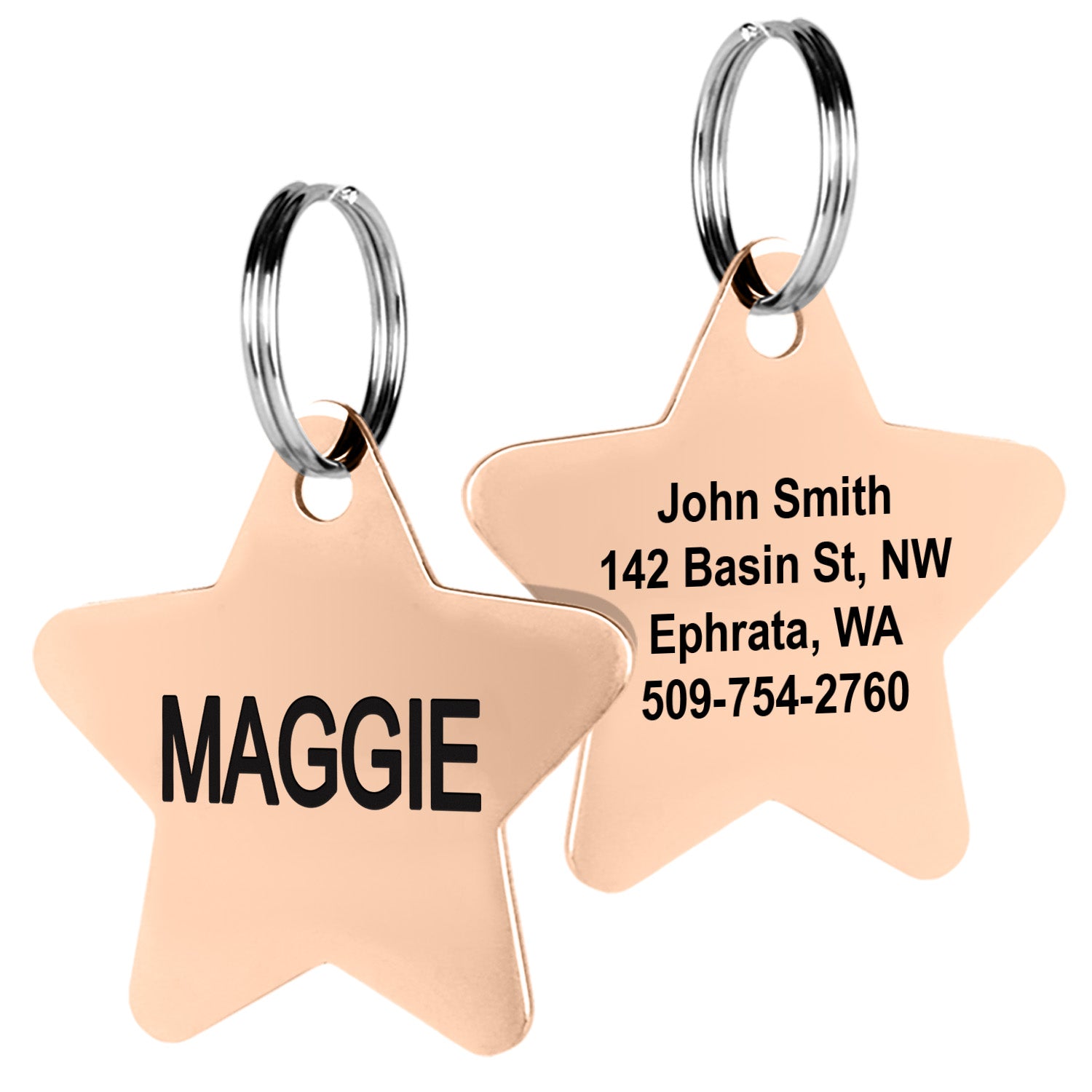 gotags-star-pet-id-tag-stainless-steel image 7