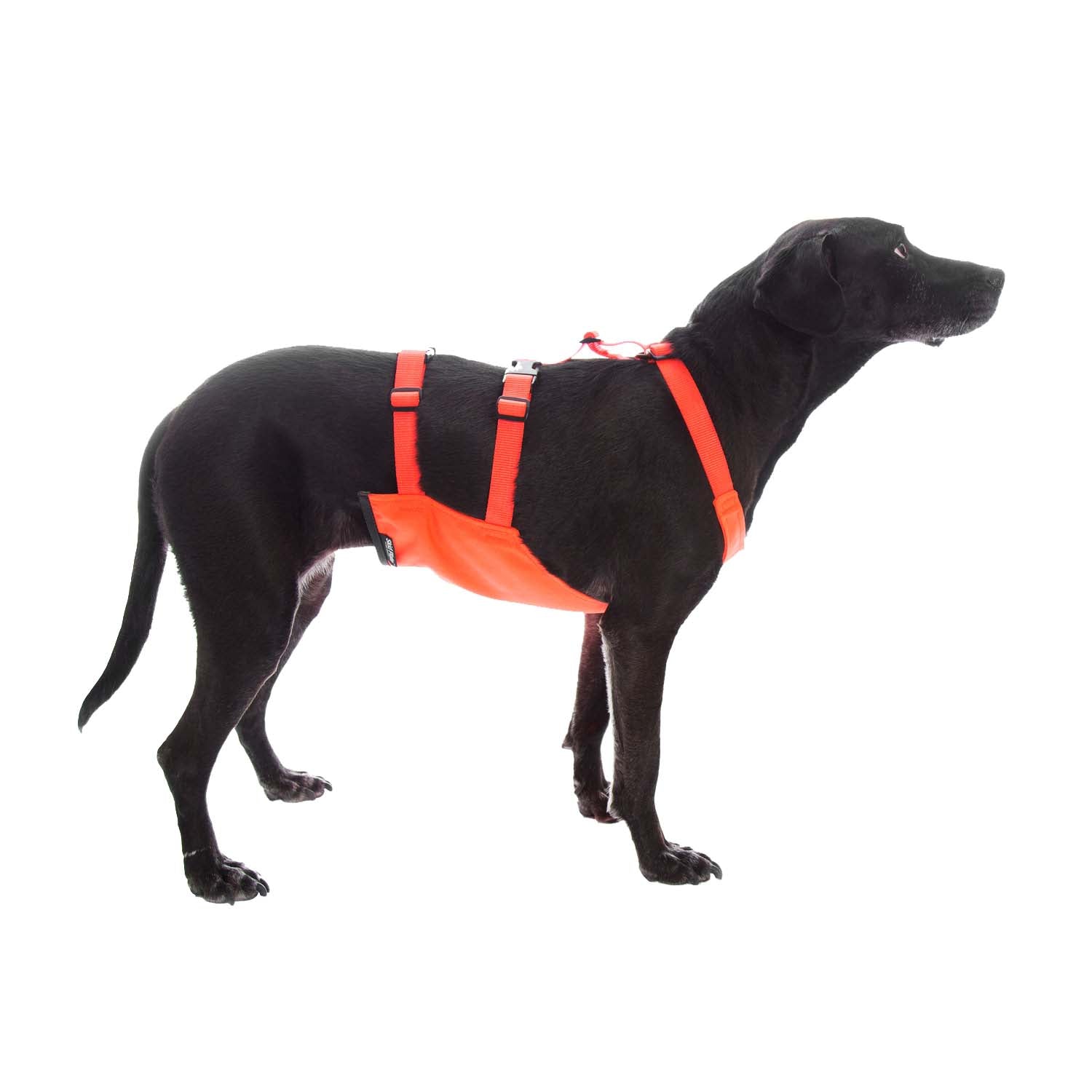 mendota-pet-skid-plate-blemished-commercial-grade-chest-protector image 3