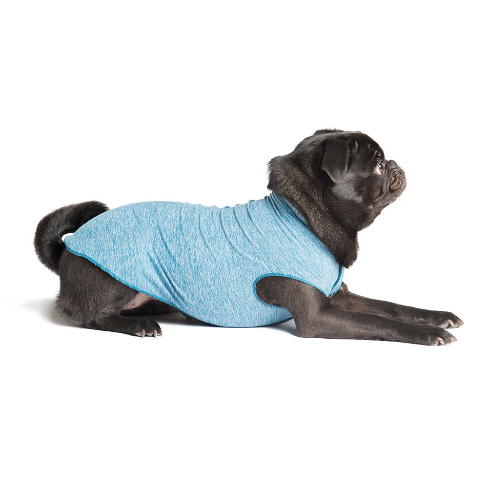 mendota-pet-sun-shield-tee-upf-50-uv-blocking-dog-shirt image 7
