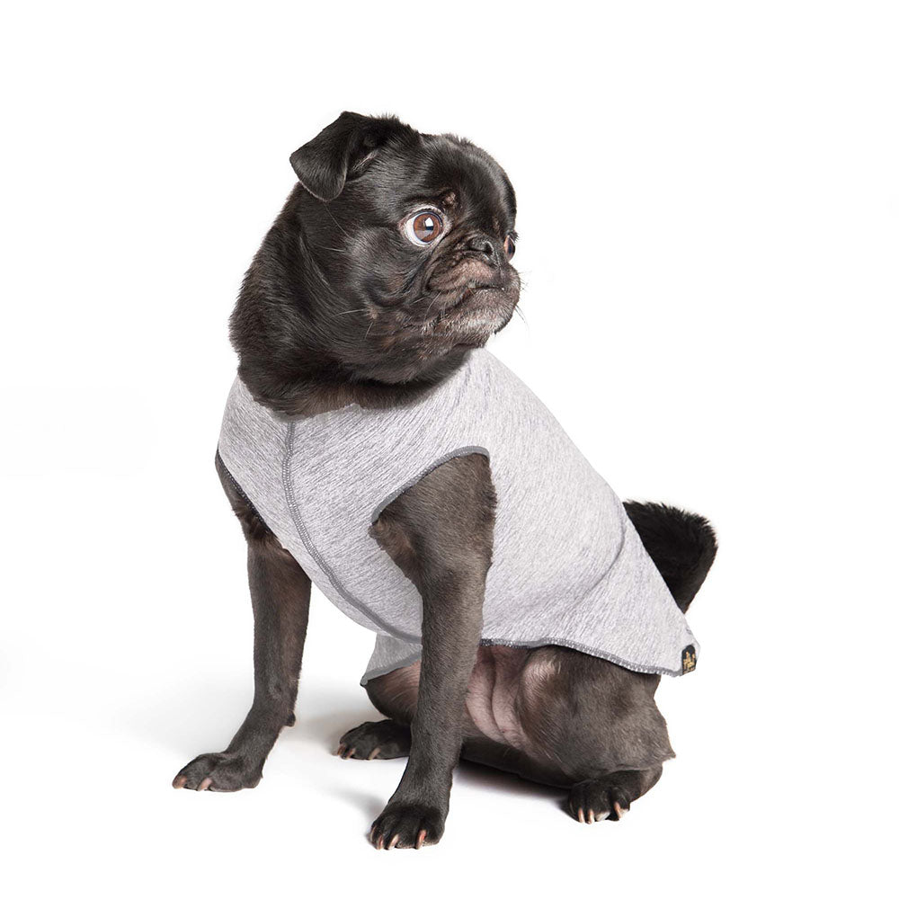 mendota-pet-sun-shield-tee-upf-50-uv-blocking-dog-shirt image 5