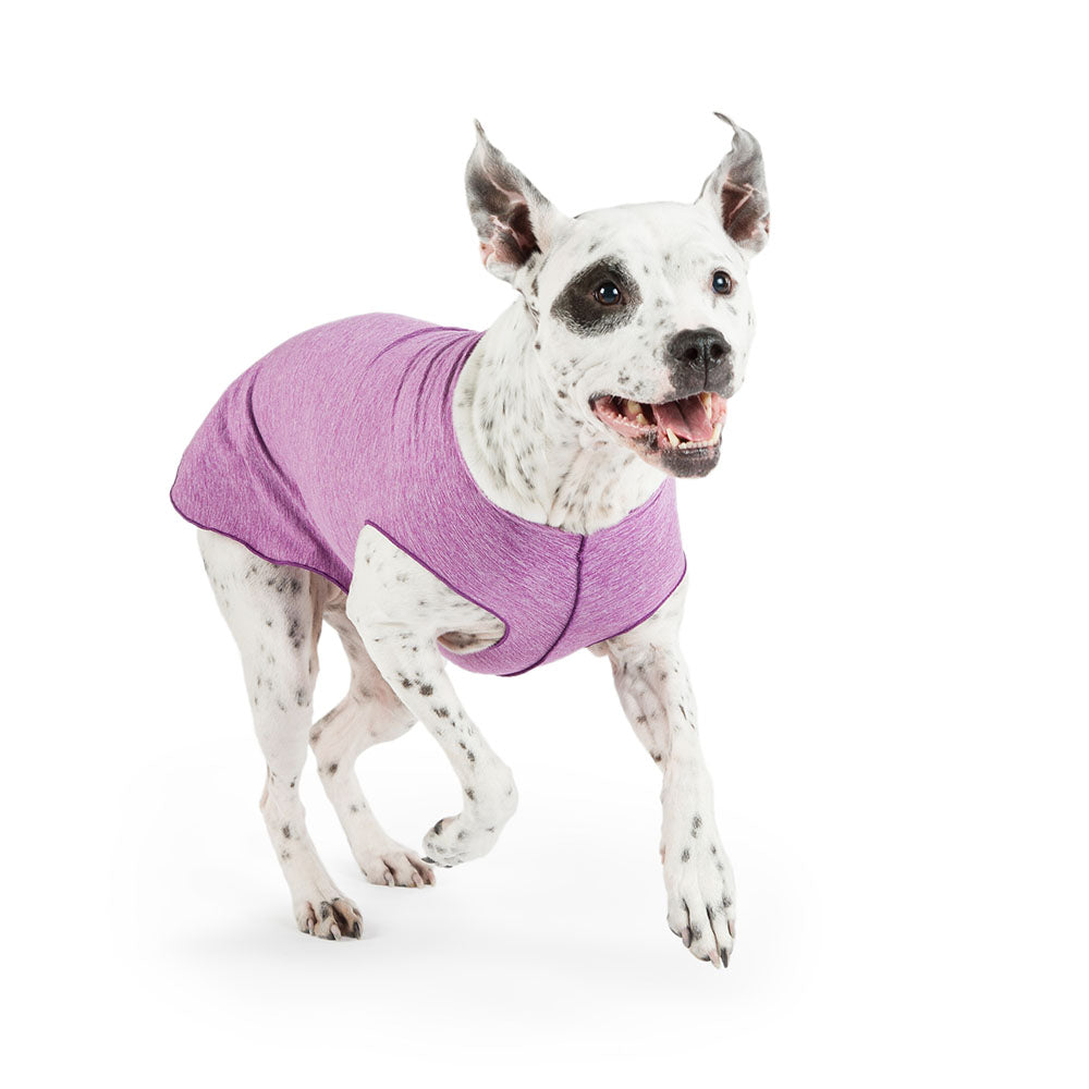 mendota-pet-sun-shield-tee-upf-50-uv-blocking-dog-shirt image 6