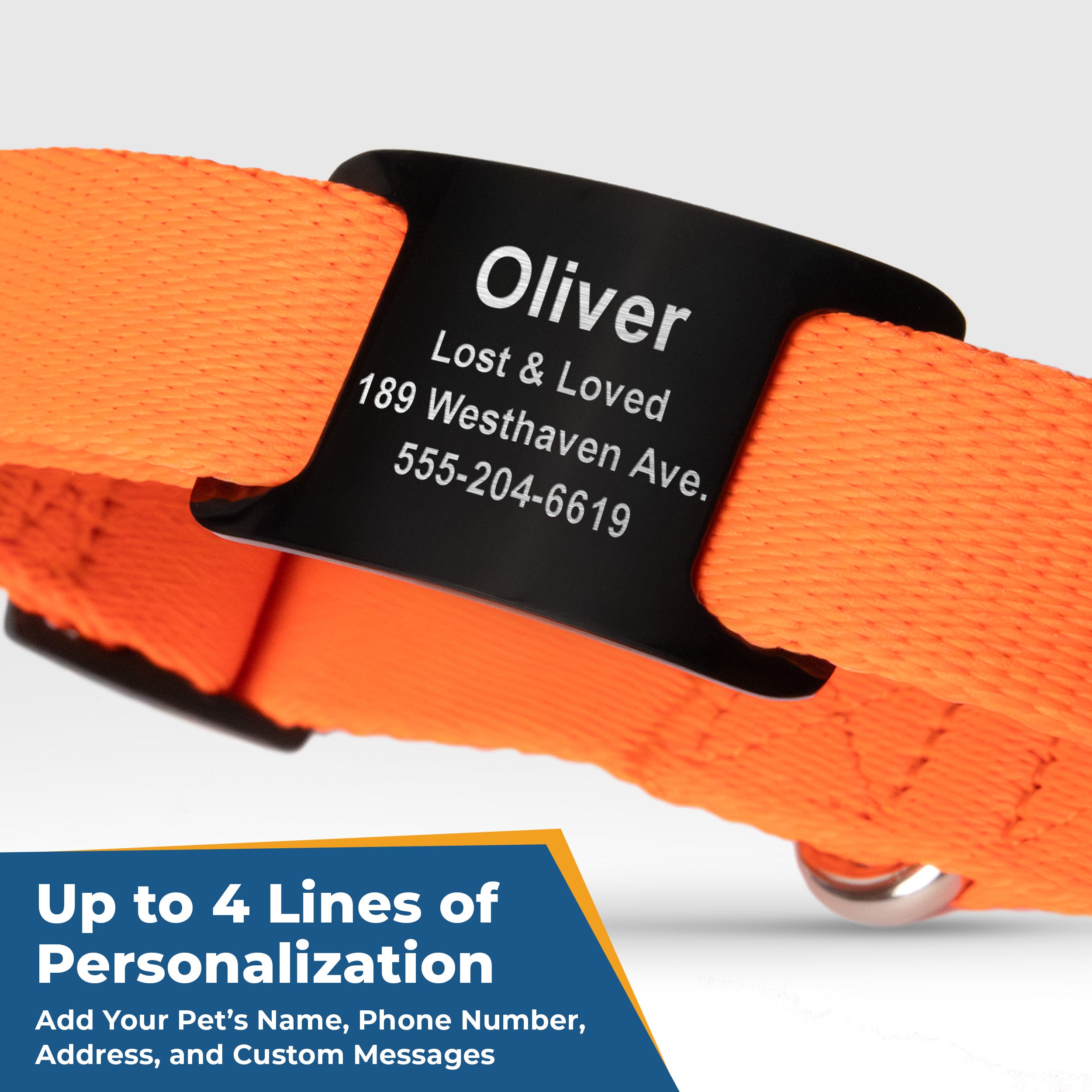 gotags-adjustable-dog-collar-with-personalized-slide-on-nameplate-in-stainless-s image 2
