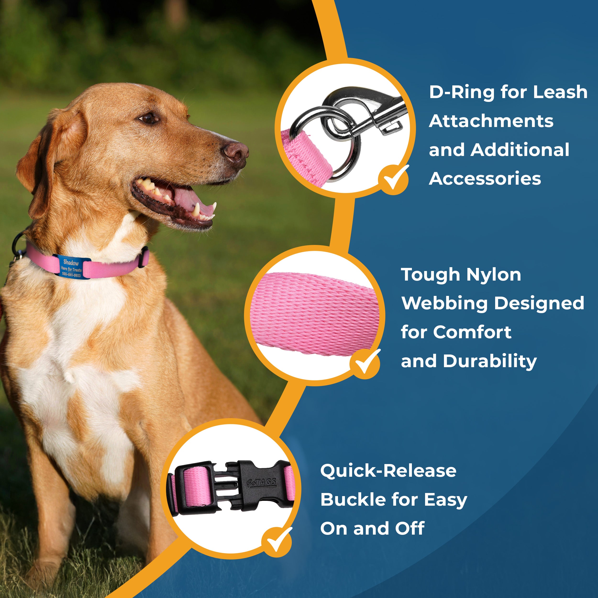gotags-adjustable-dog-collar-with-personalized-slide-on-nameplate-in-stainless-s image 3