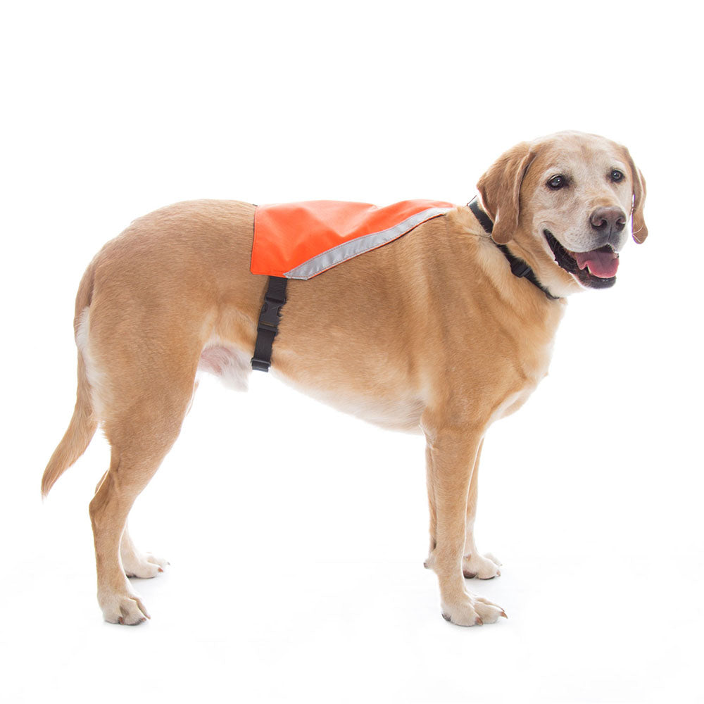 mendota-pet-visi-vest-reflective-safety-dog-vest image 2